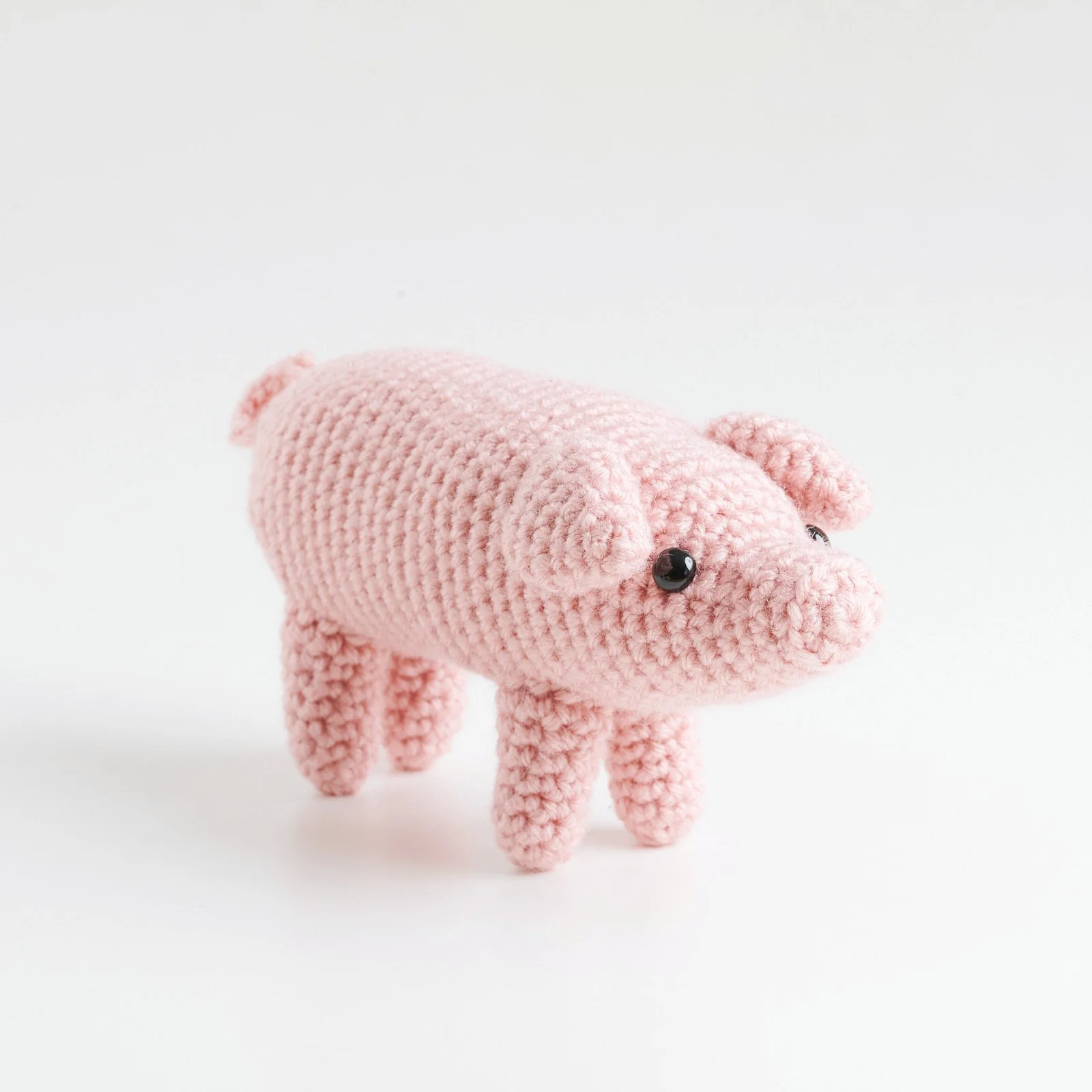 Piggy.jpg
