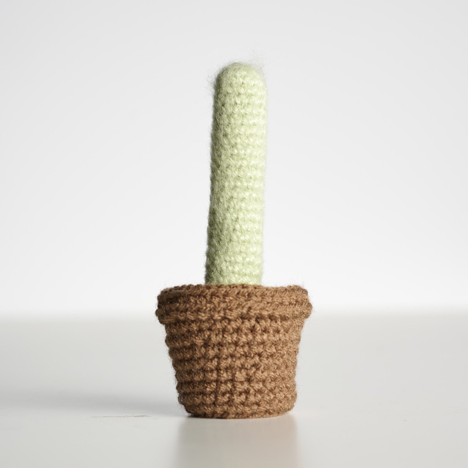 Cactus_1_1600px.jpg