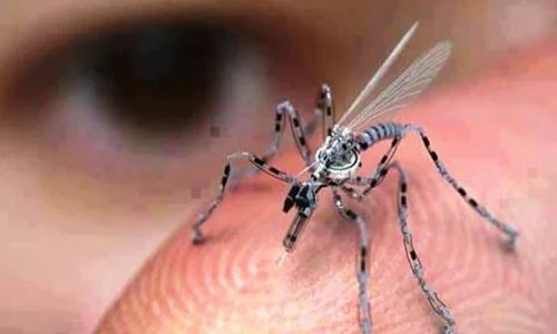 rsz_1insect_spy_drone-578-80.jpg