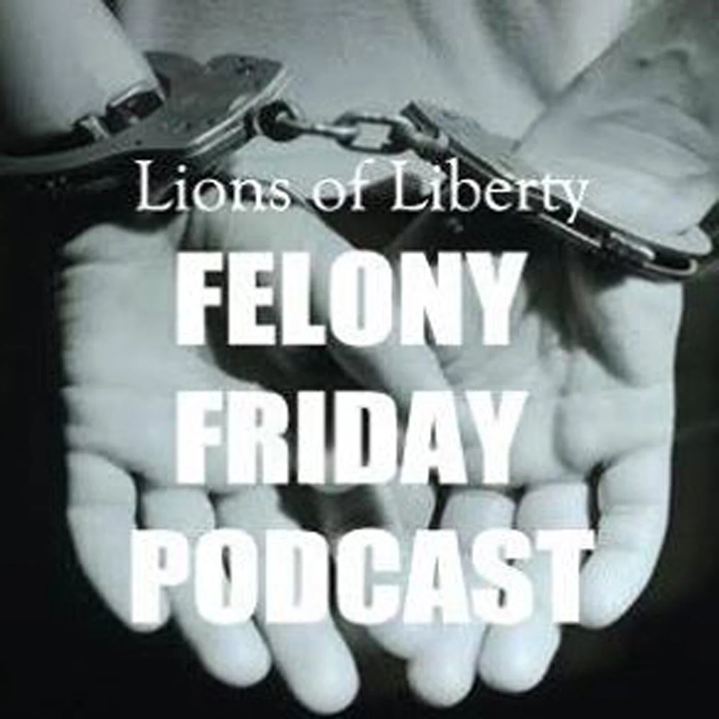Felony Friday 077 - David Borden Leads the Fight to End Drug Prohibition Worldwide