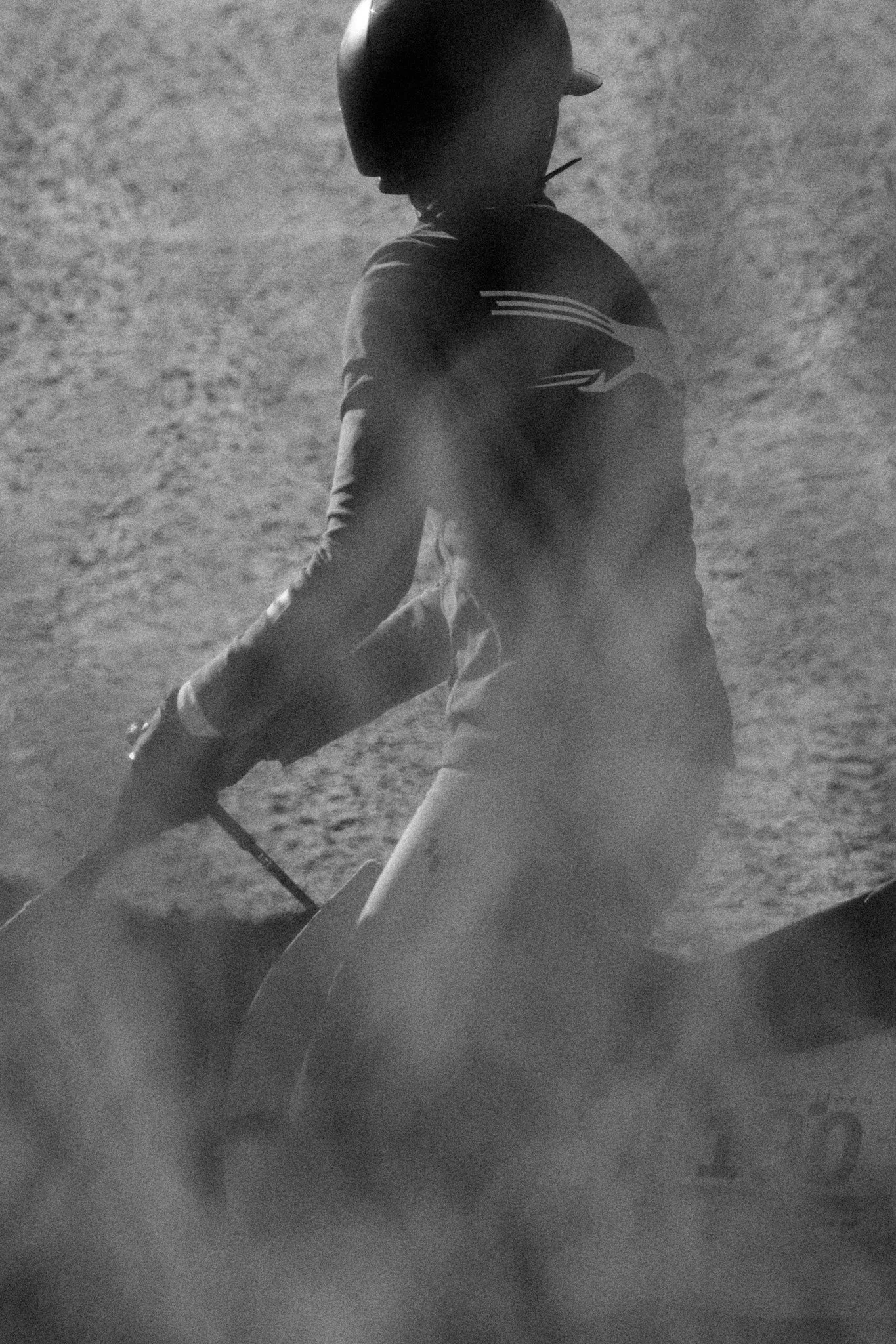 Equestrian_ShowJumping_TraverseCity 3.jpg