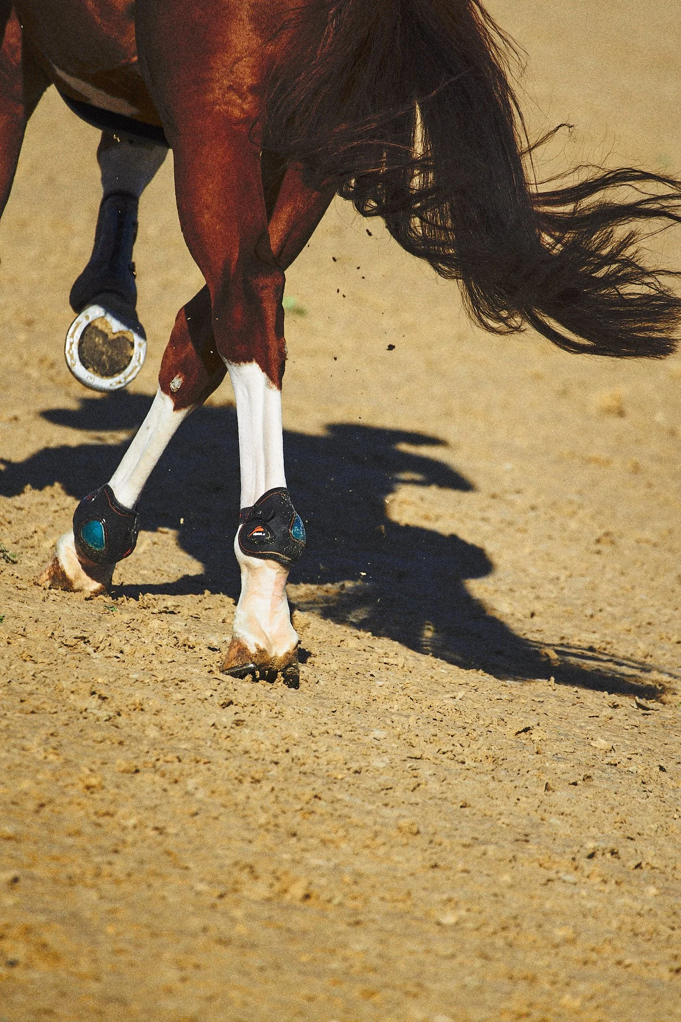 Equestrian_Highlands_NewYork_MLSJ 3.jpg