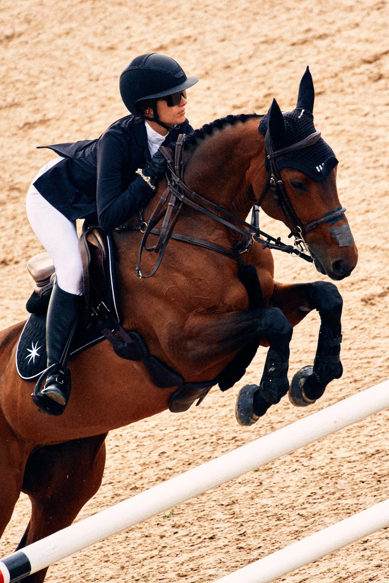 Equestrian_ShowJumping_TraverseCity 4.jpg