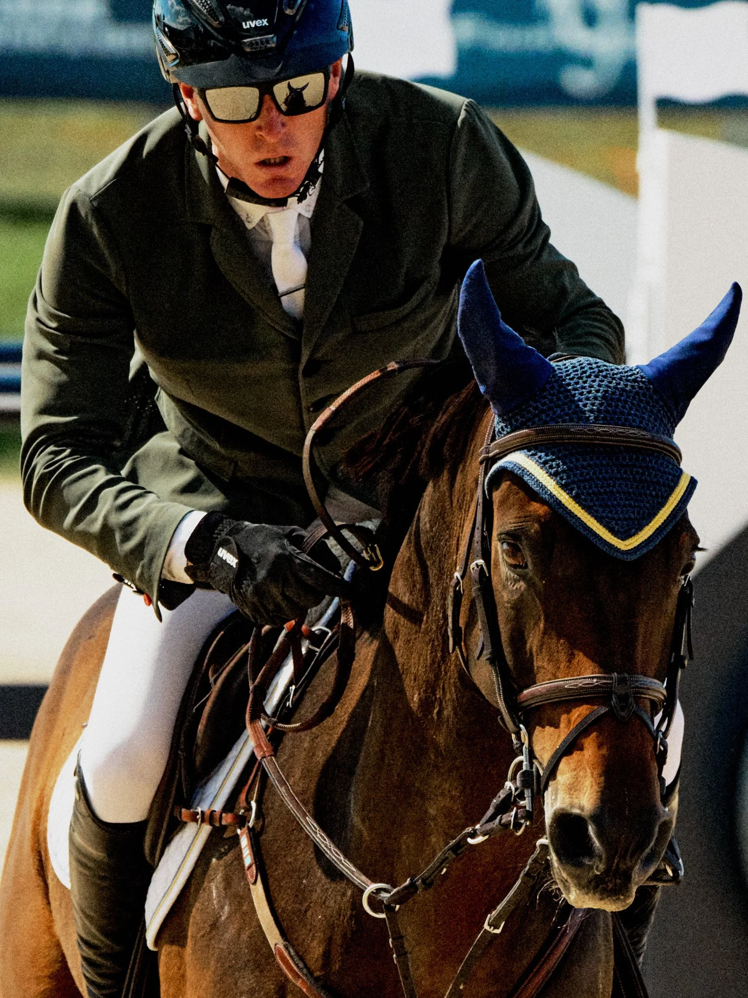 Equestrian_TVCHorsePark3.jpg