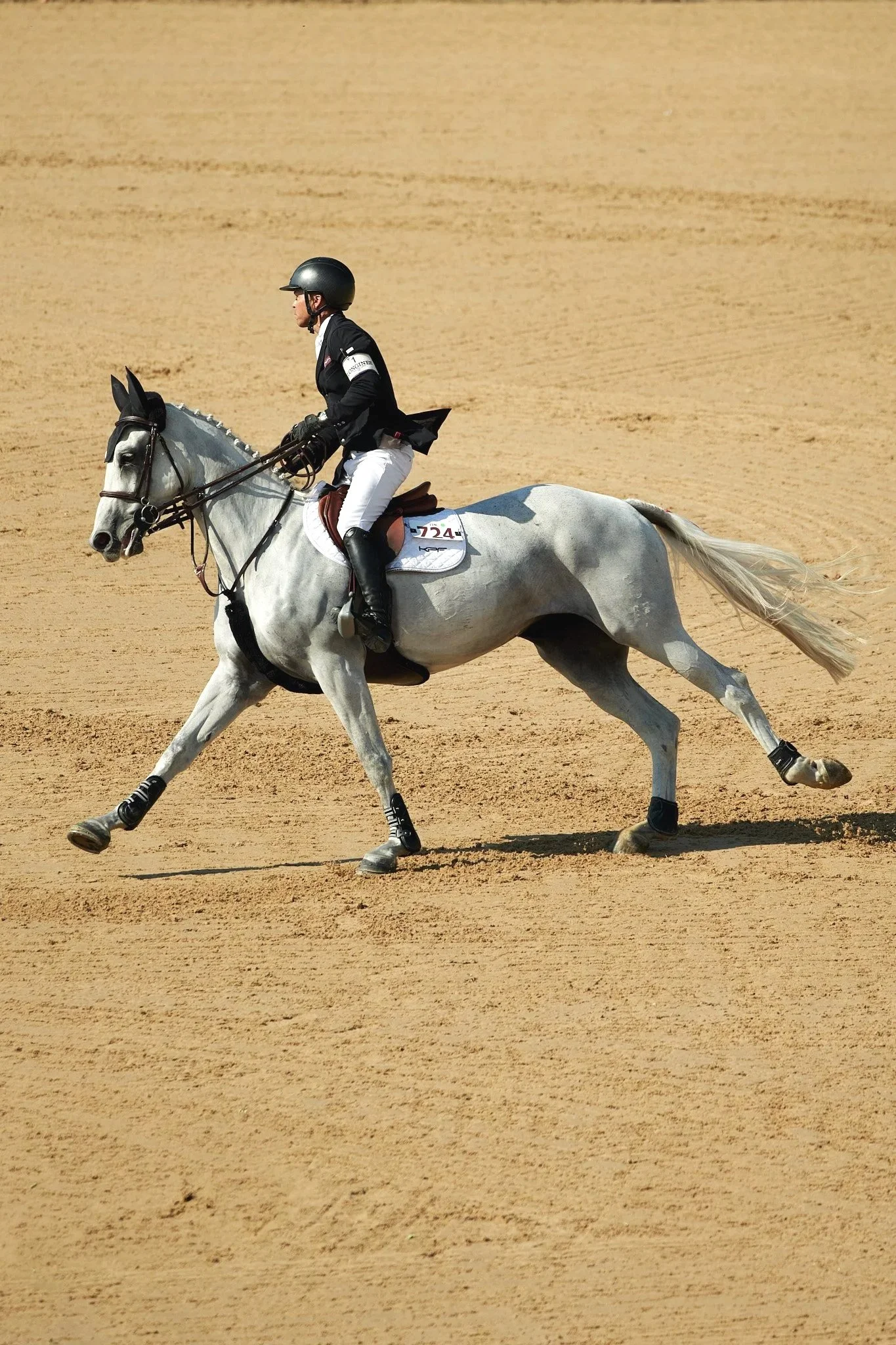 TraverseCity_Equestrian_Rider_Kent_Farrington.jpg
