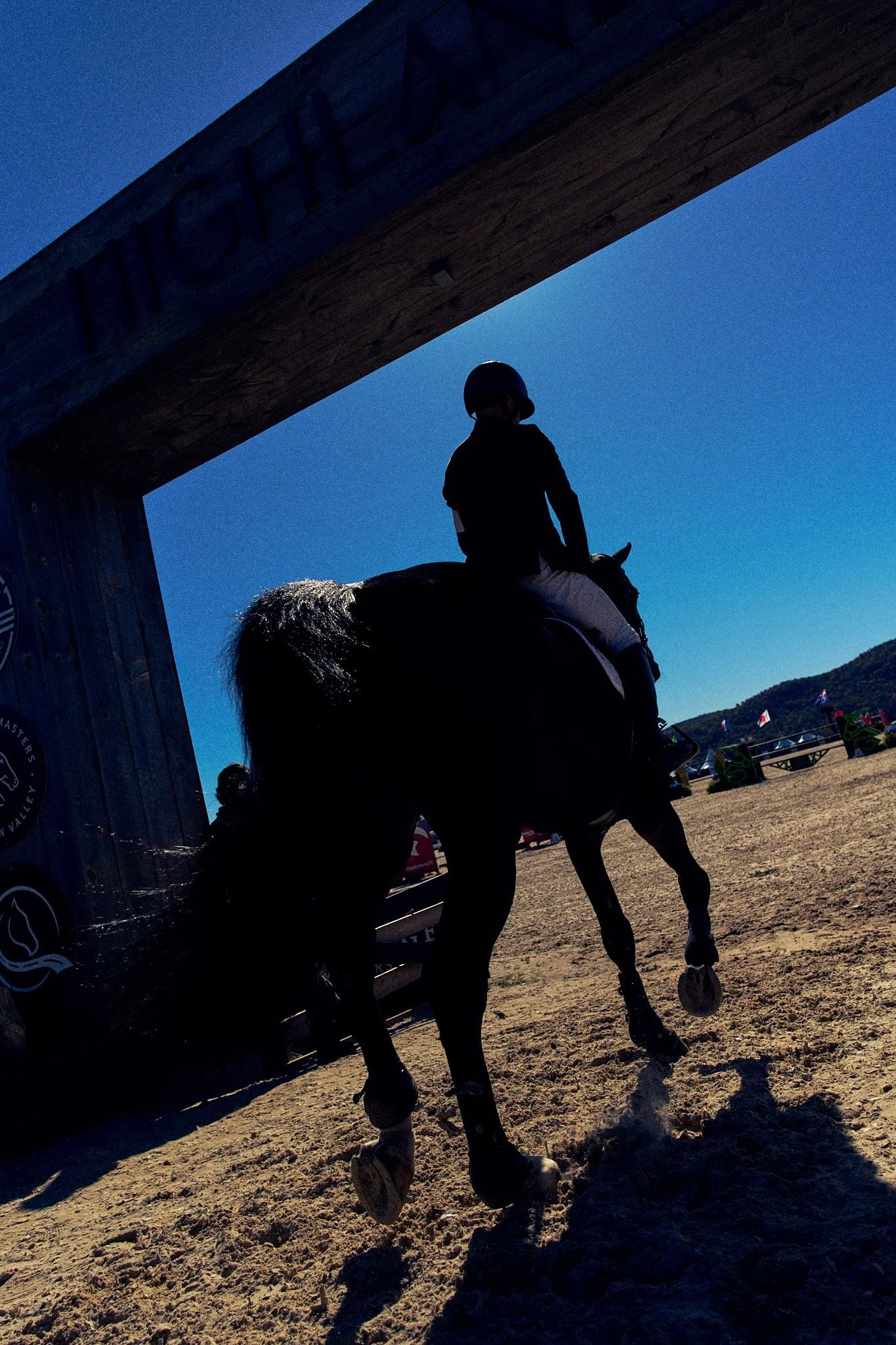 Equestrian_Rider_Horse 1.jpeg