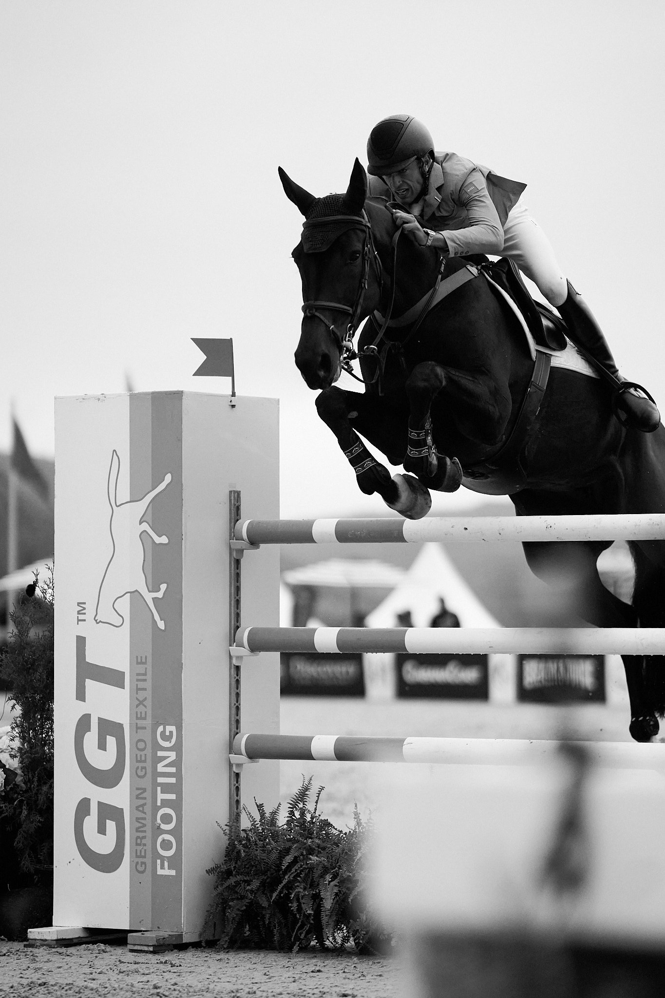 Equestrian_Highlands_NewYork_MLSJ 8.jpeg