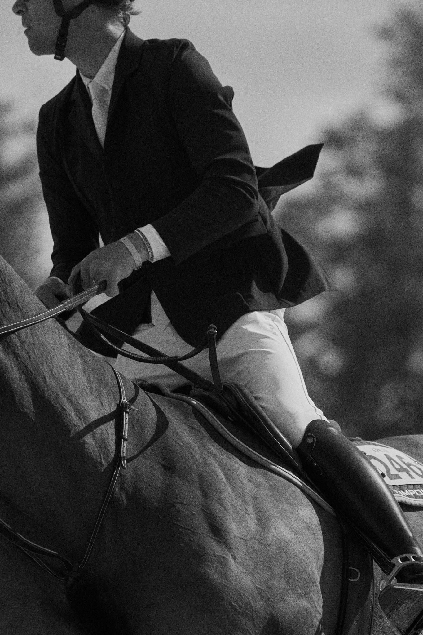 TraverseCity_Equestrian_Rider 1.jpeg