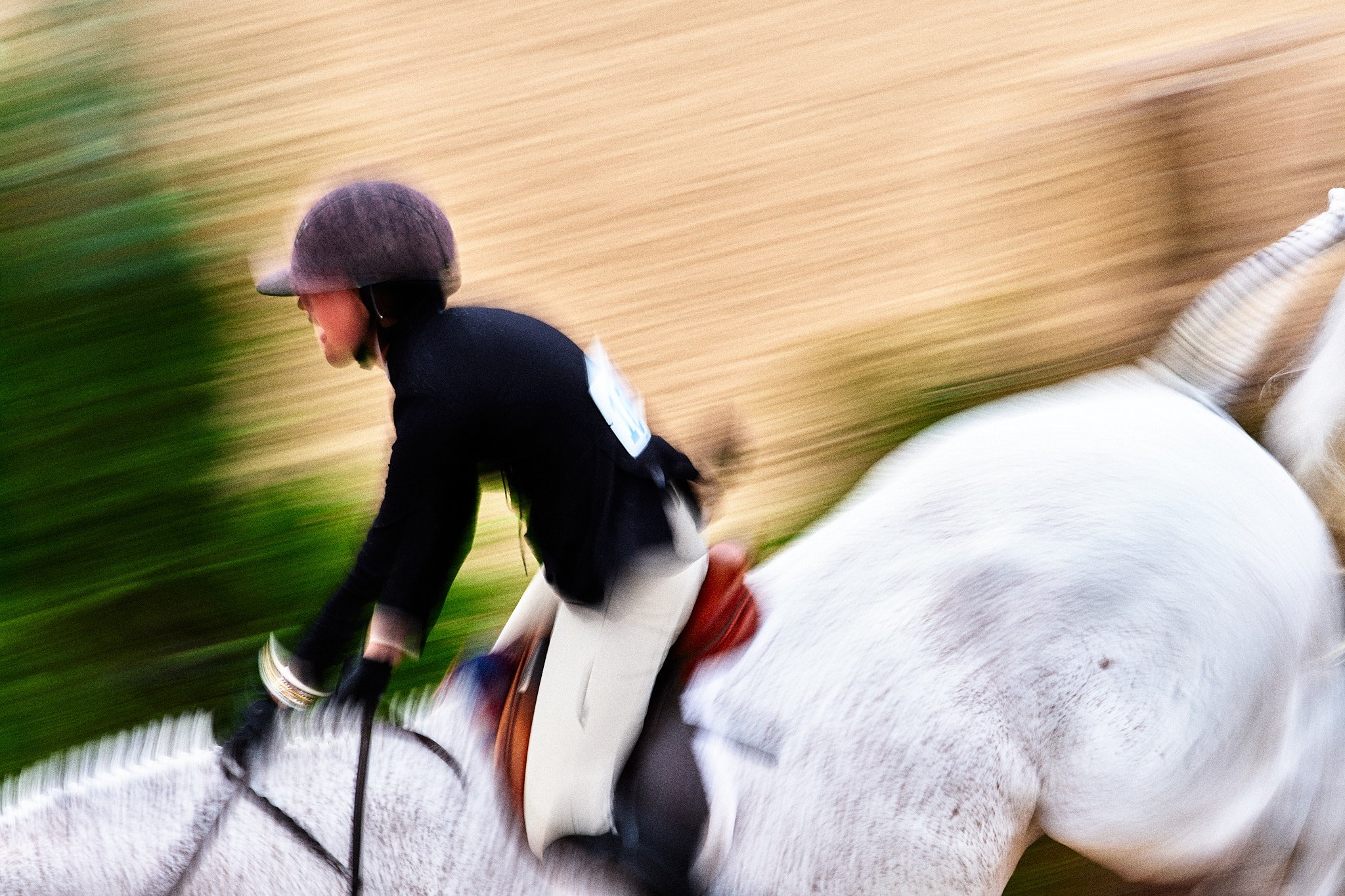 Equestrian_TraverseCity_HorseShows_Michigan 6.jpg