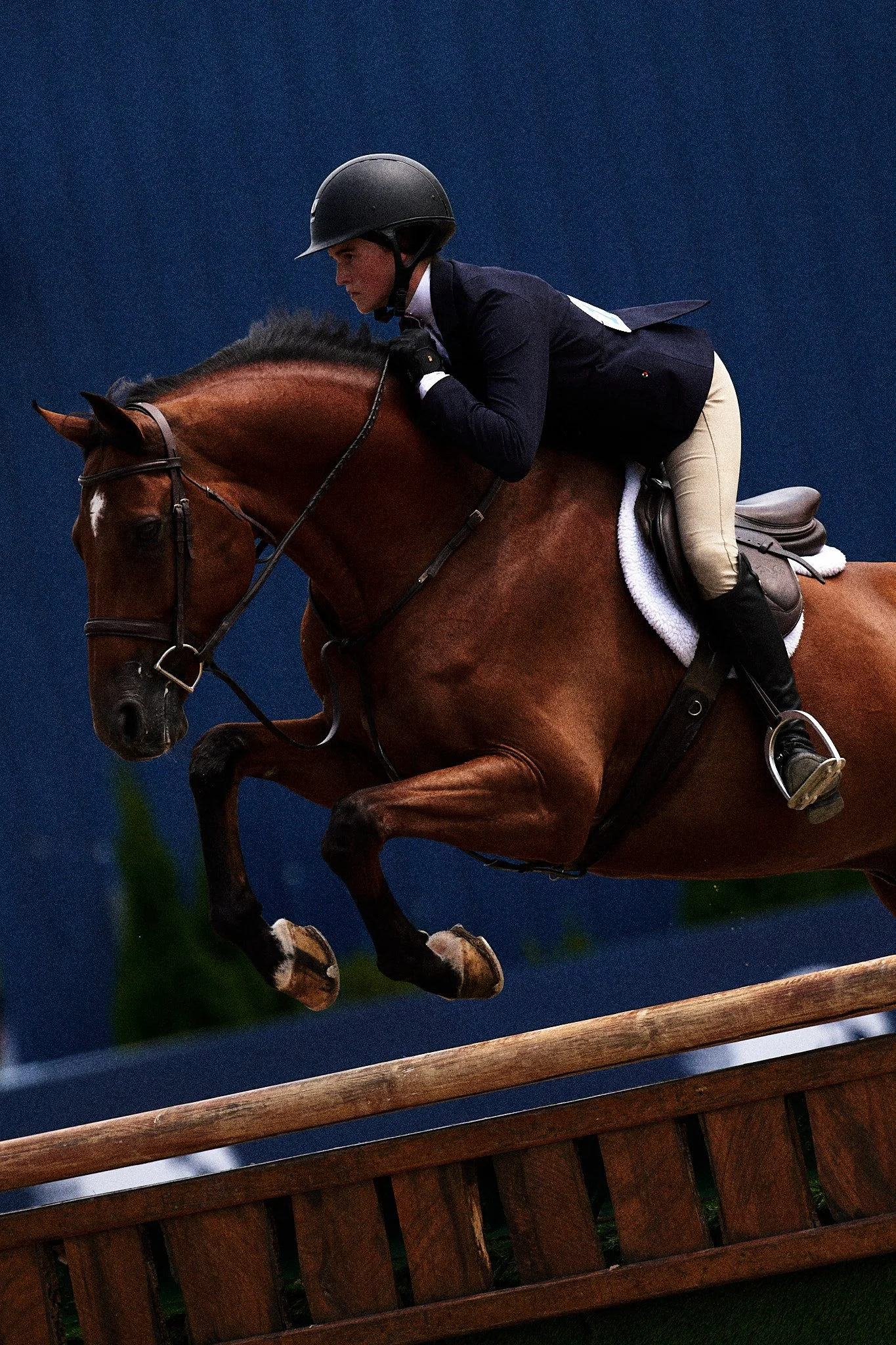 Equestrian_TraverseCity_HorseShows_Michigan 2.jpg