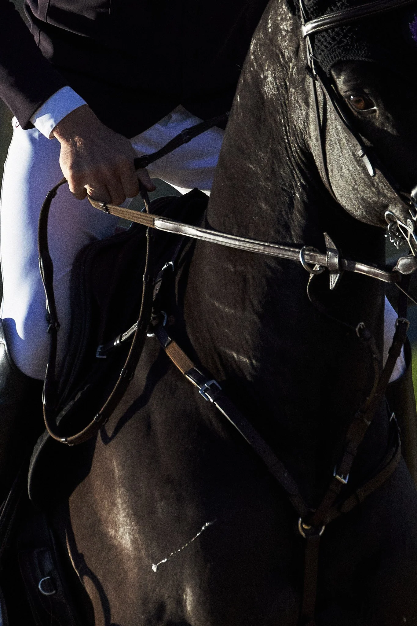Equestrian_Highlands_NewYork_MLSJ 6.jpg