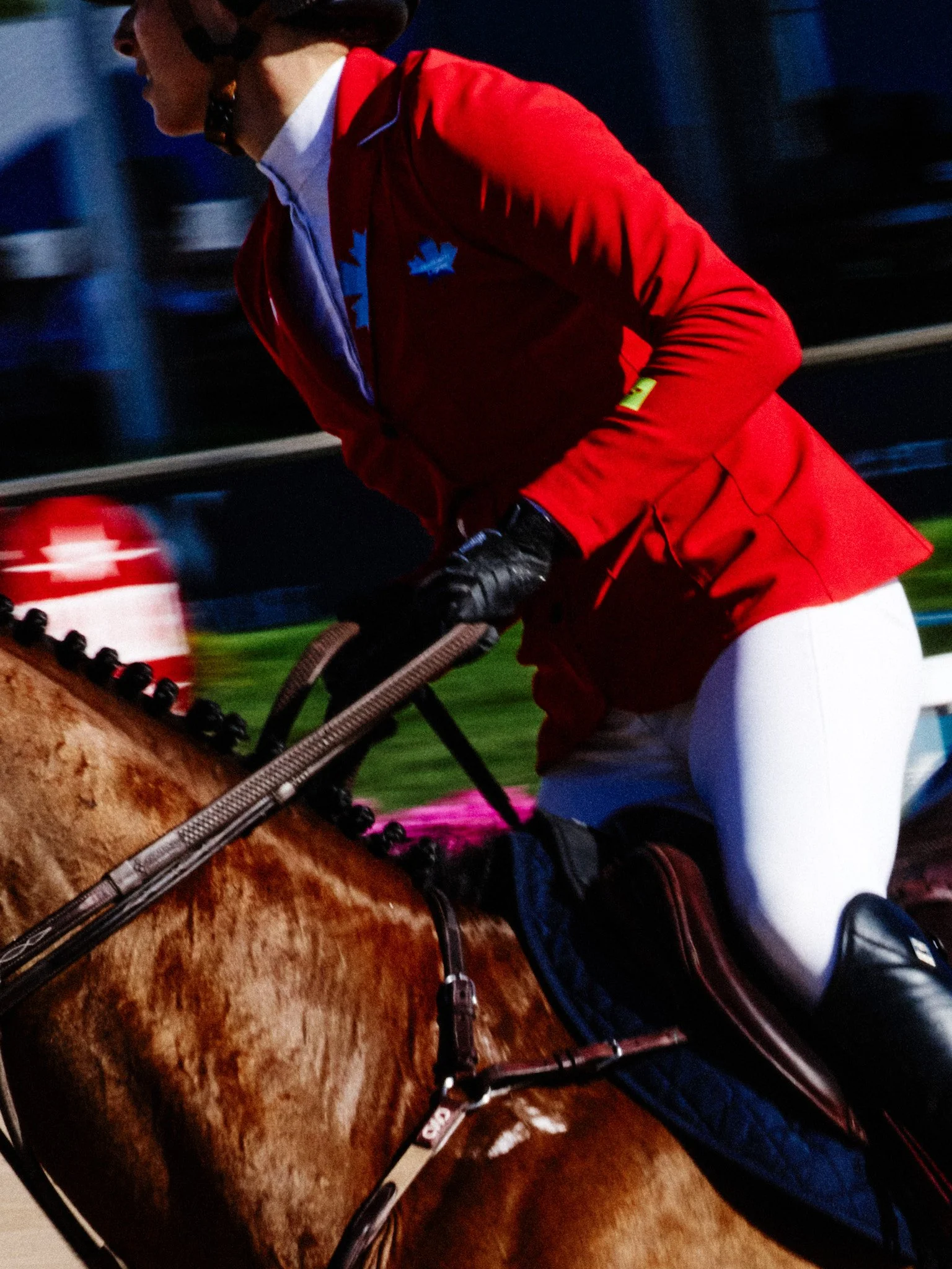 Equestrian_ShowJumping_TraverseCity.jpg
