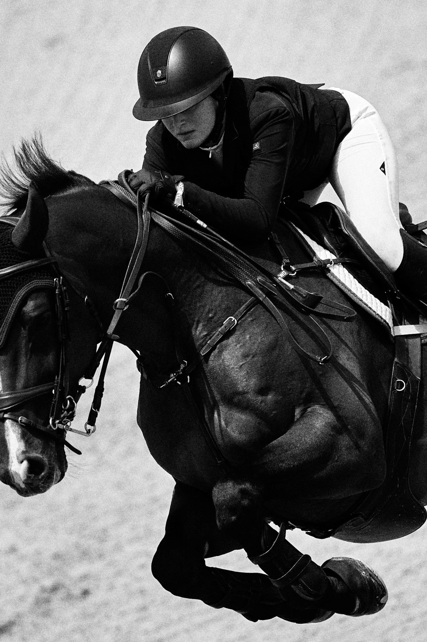 Equestrian_TraverseCity_HorseShows_Michigan.jpg