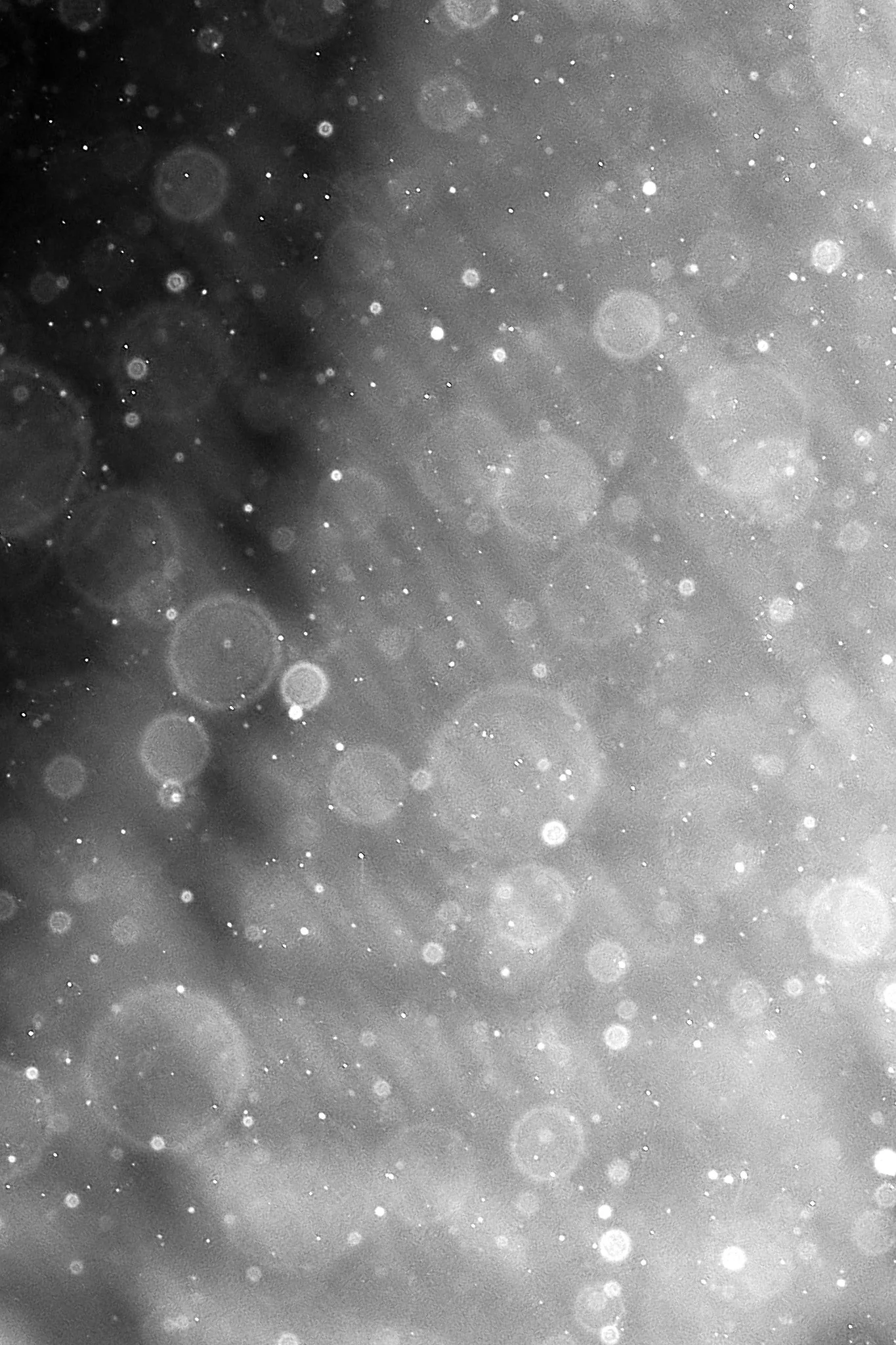 Hyrox_Phoenix_Major_Arena_Athlete_Fitness 48.jpg