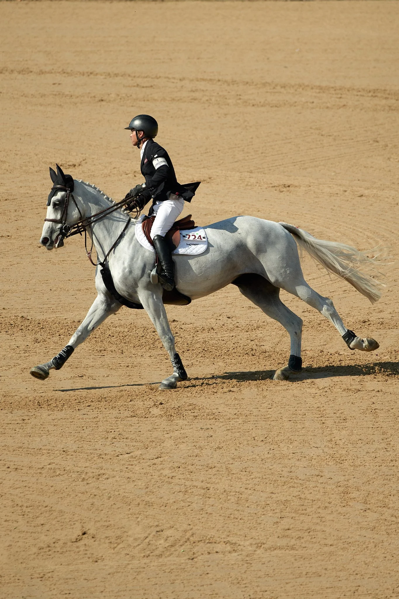 TraverseCity_Equestrian_Rider_Kent_Farrington.jpg