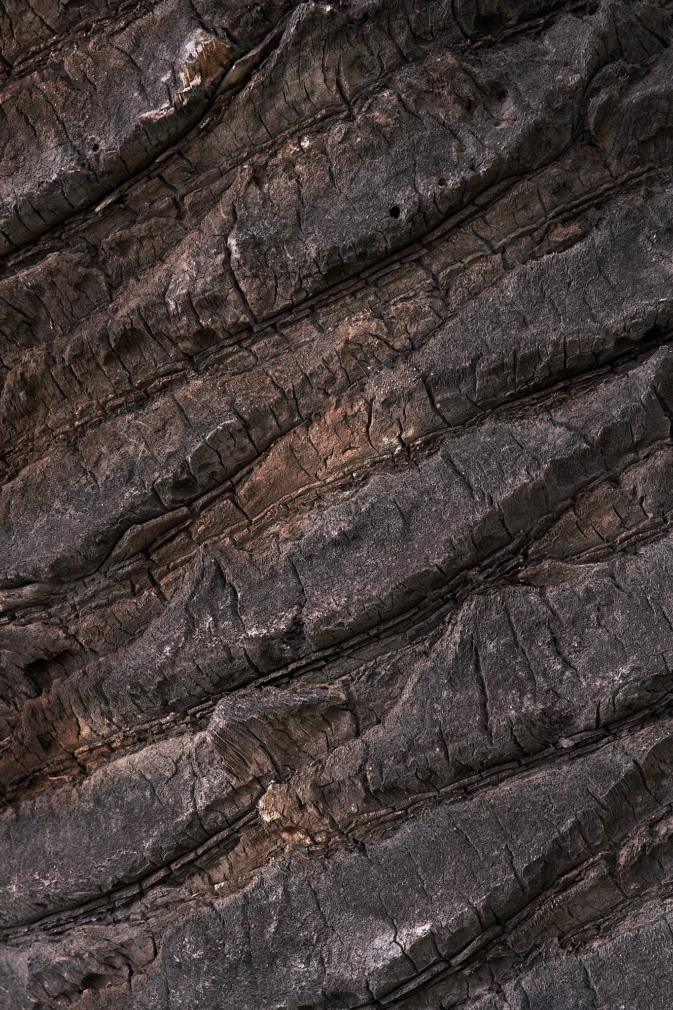 Dec 09 2025_5-38 PM_CRS01519__JPEG Quality 80.jpg