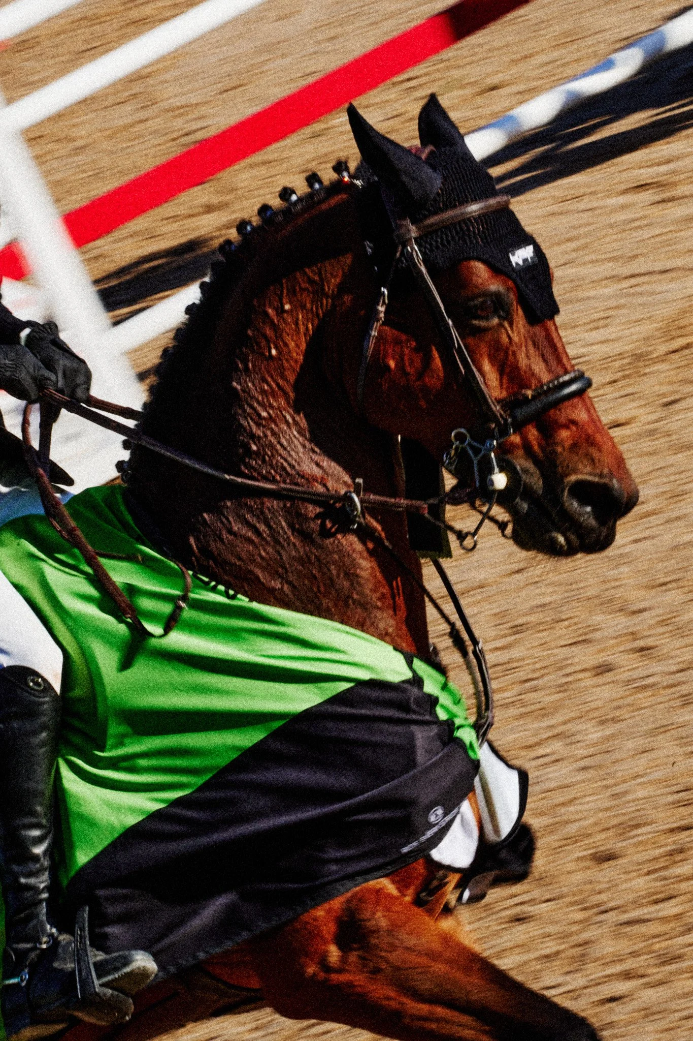 Equestrian_ShowJumping_TraverseCity 5.jpg