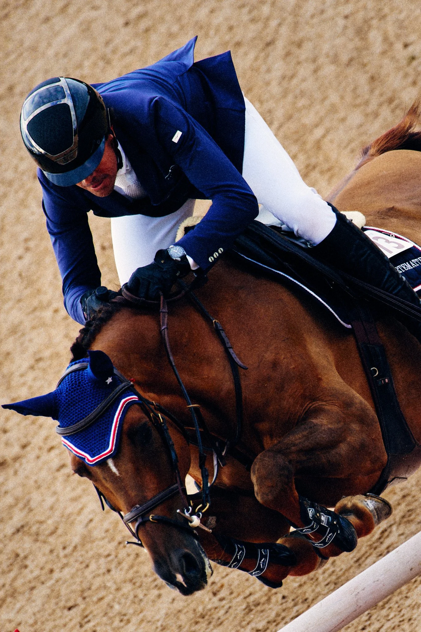 Equestrian_ShowJumping_TraverseCity 6.jpg