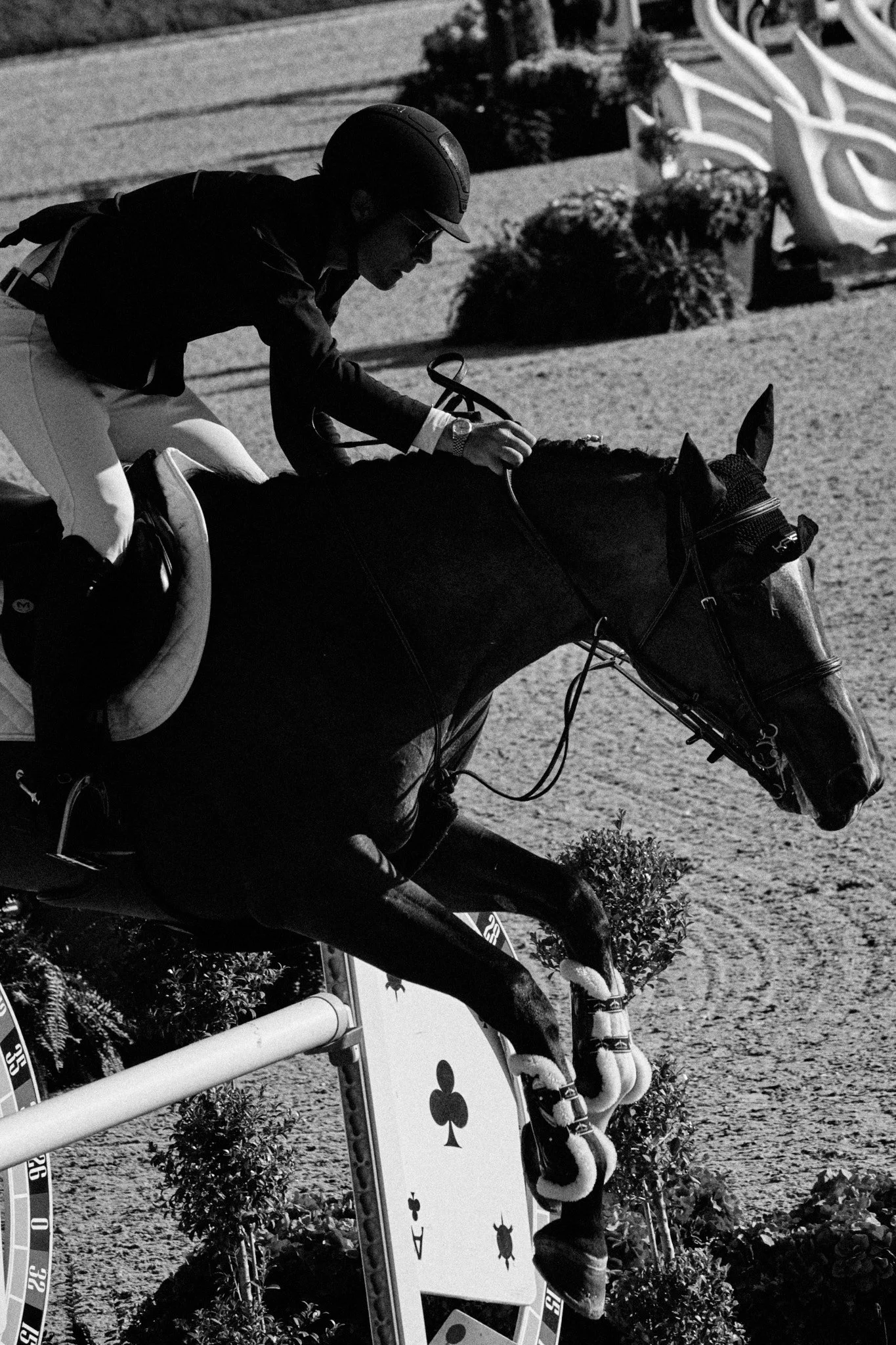 Equestrian_ShowJumping_TraverseCity 1.jpg