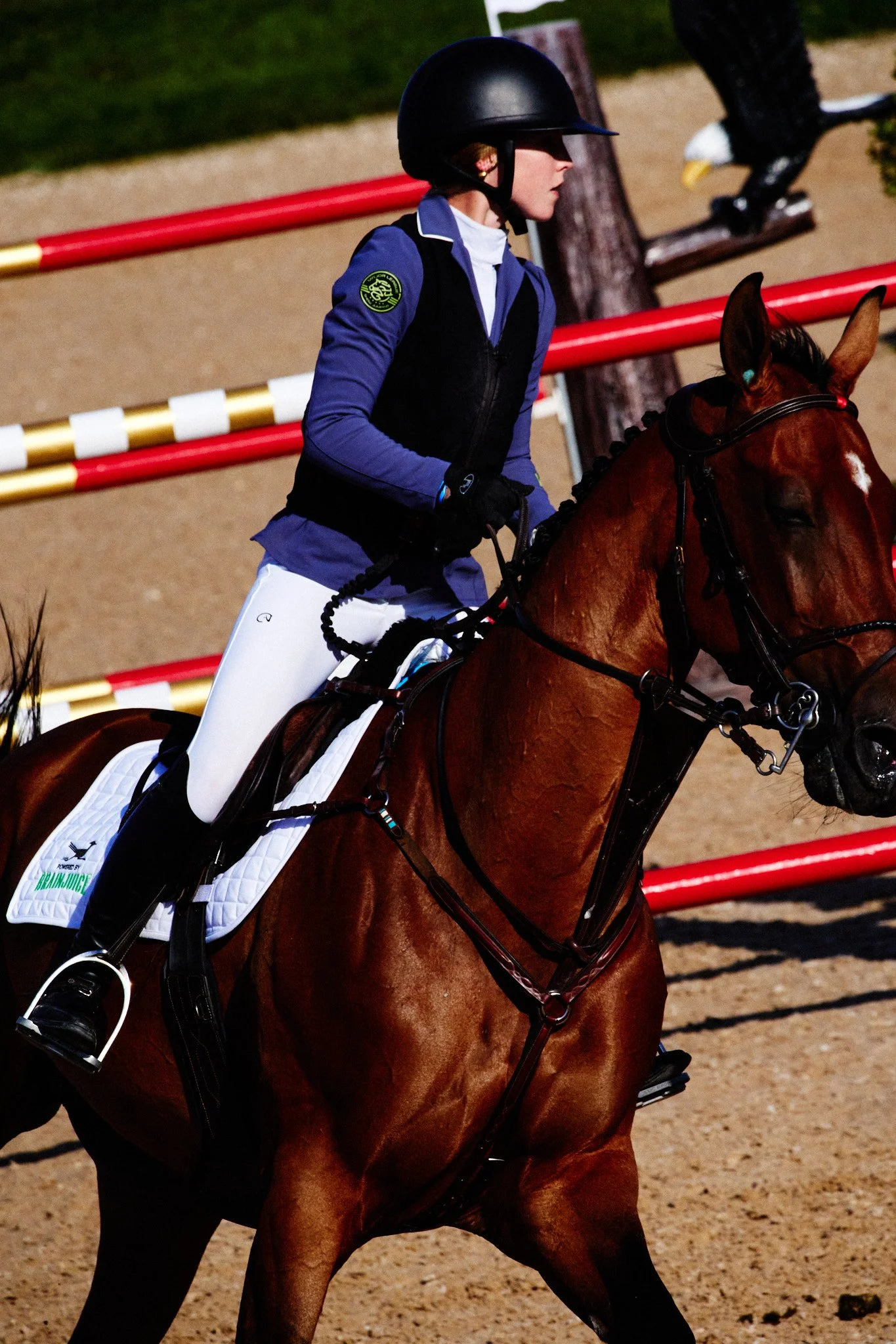 Equestrian_ShowJumping_TraverseCity 12.jpg