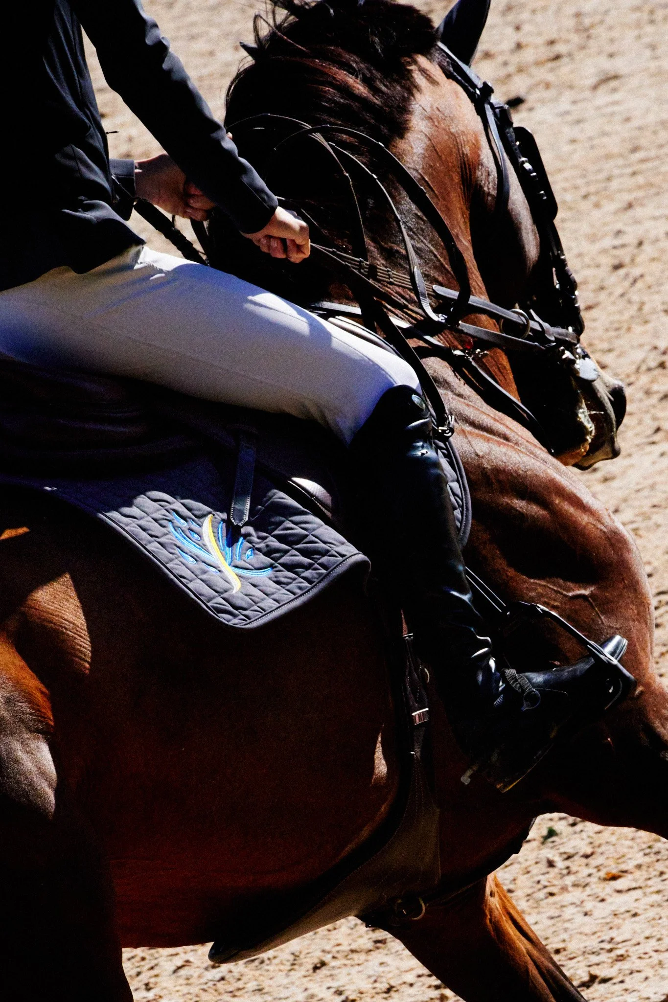 Equestrian_ShowJumping_TraverseCity 11.jpg