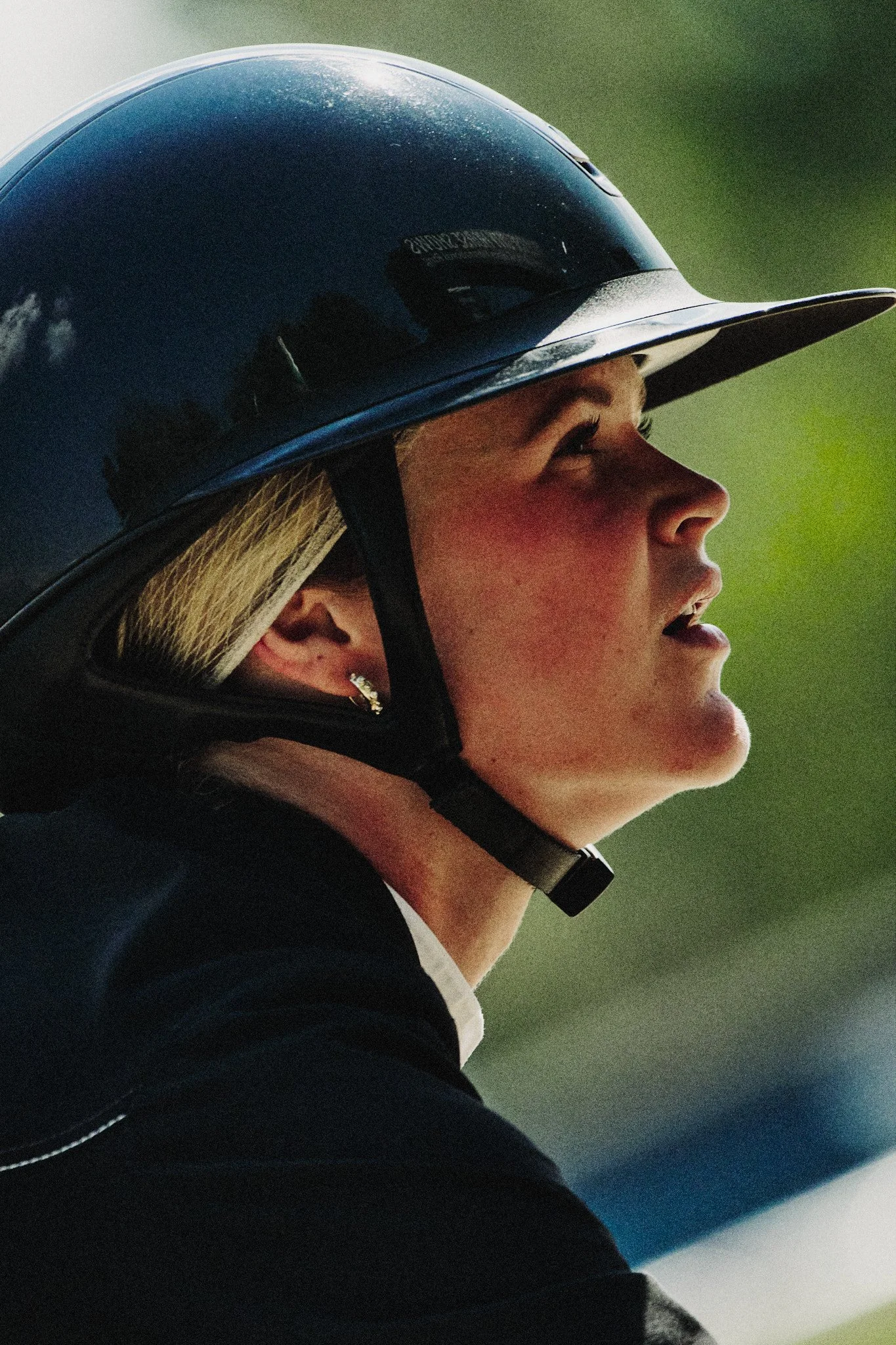Equestrian_TVCHorsePark2.jpg