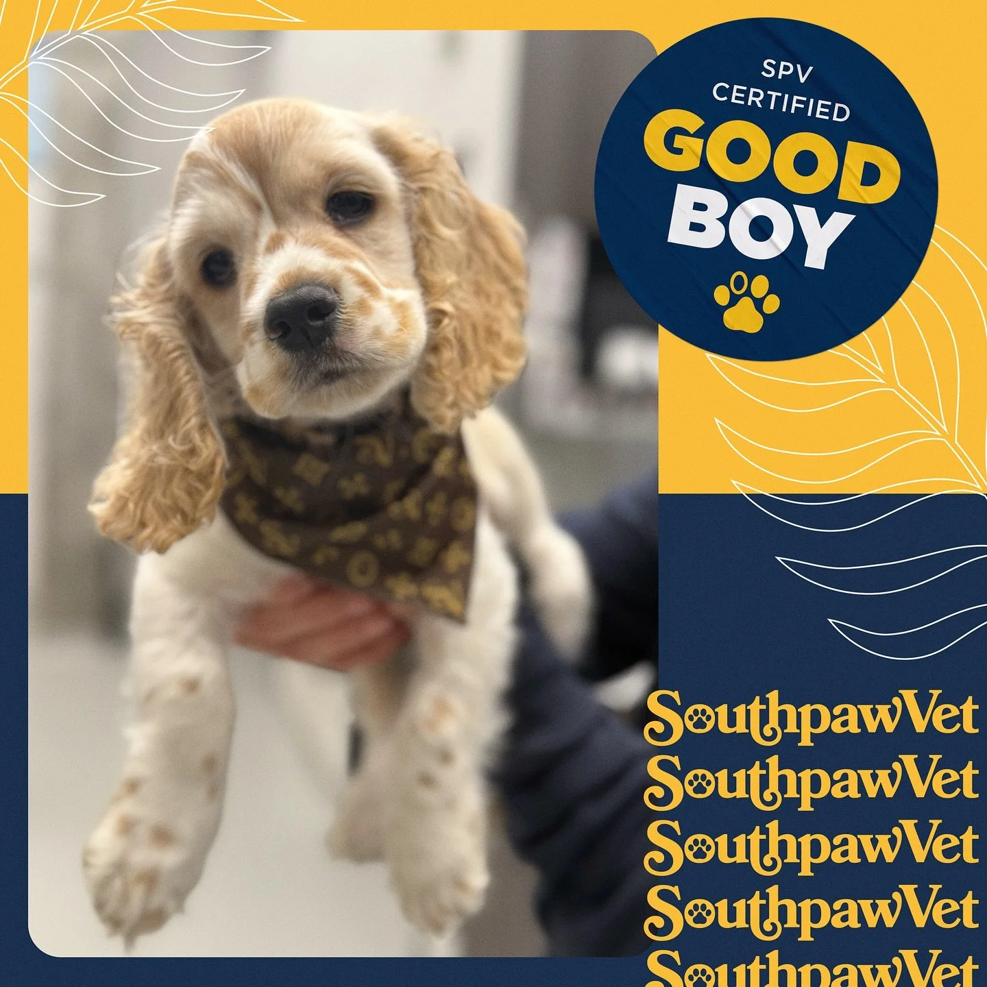 Another day, another group of amazing good boys and girls at Southpaw! Meet Lucky 🐕 and Saturn 🐈