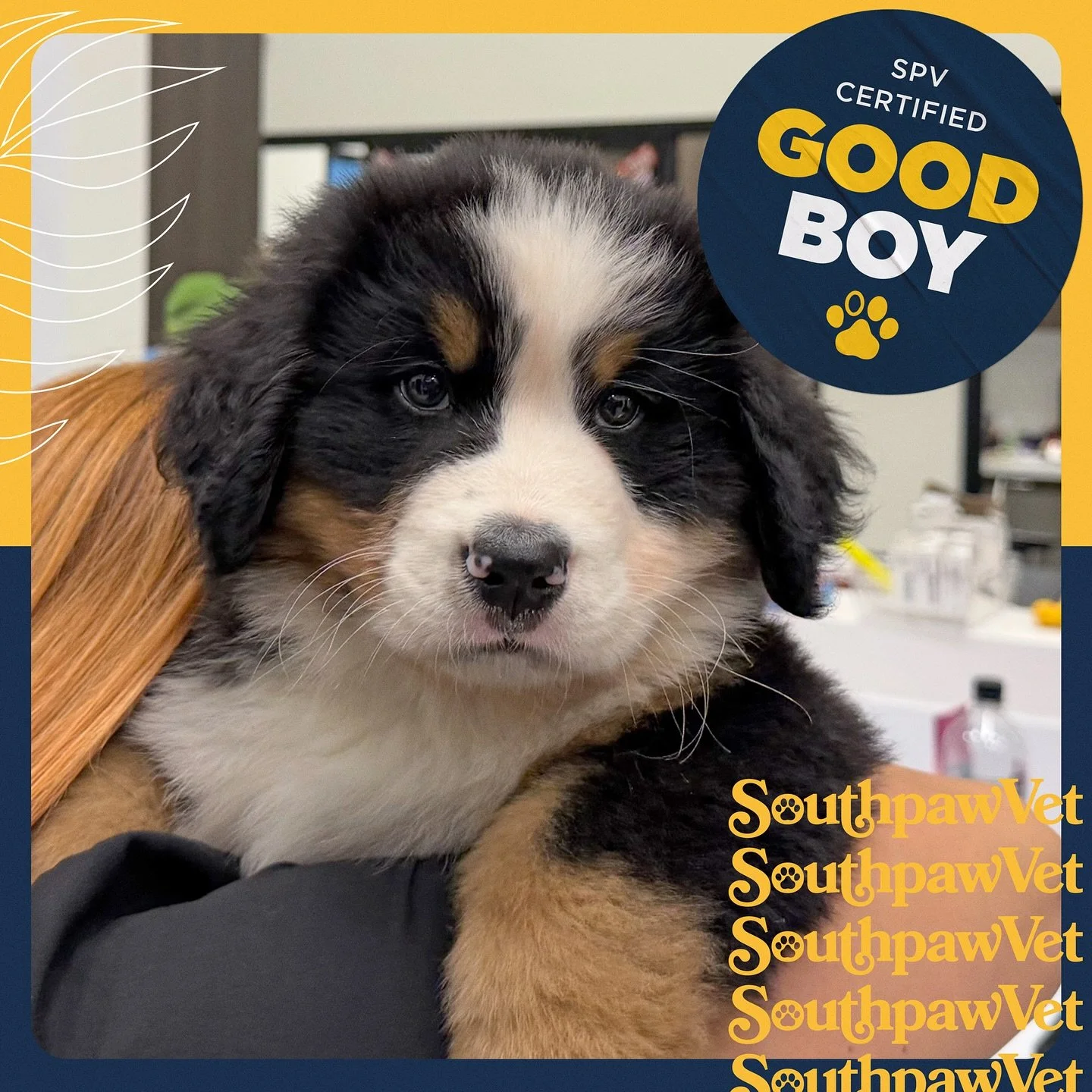 Have a case of the Mondays? Here’s Bennie to fix that!