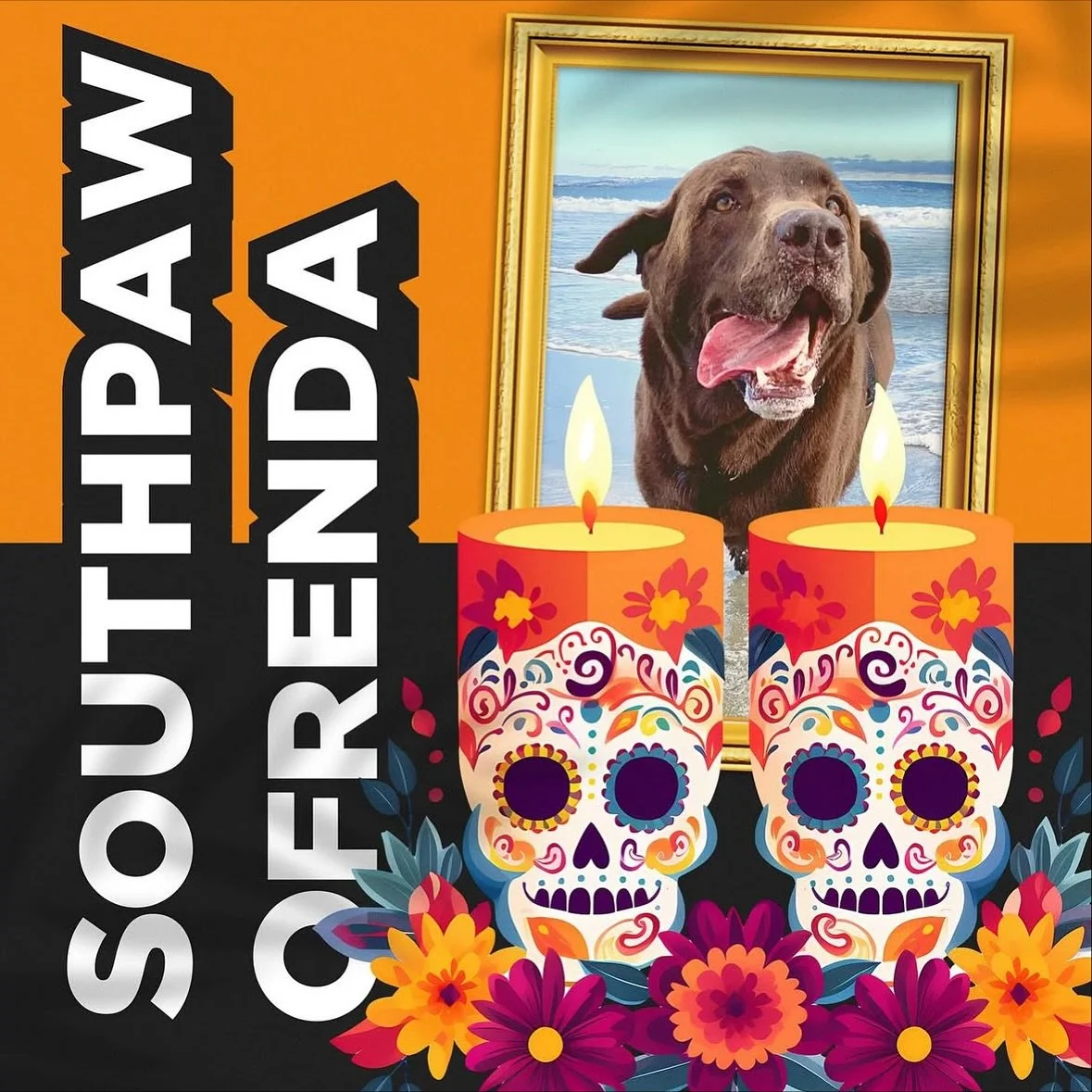 We are bringing back the Southpaw Ofrenda! We’ve dedicated a space in our lobby to honor the memory of past pet loved ones. We welcome all portraits, paw prints, and personal items you’d like to add to the alter. Please ask reception for