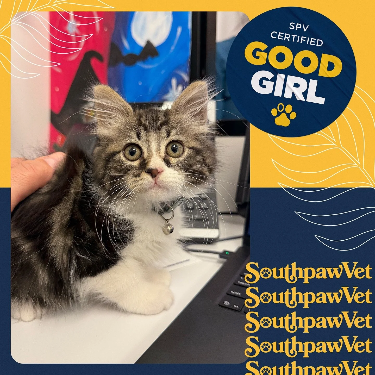 Lil baby Monroe 🥹