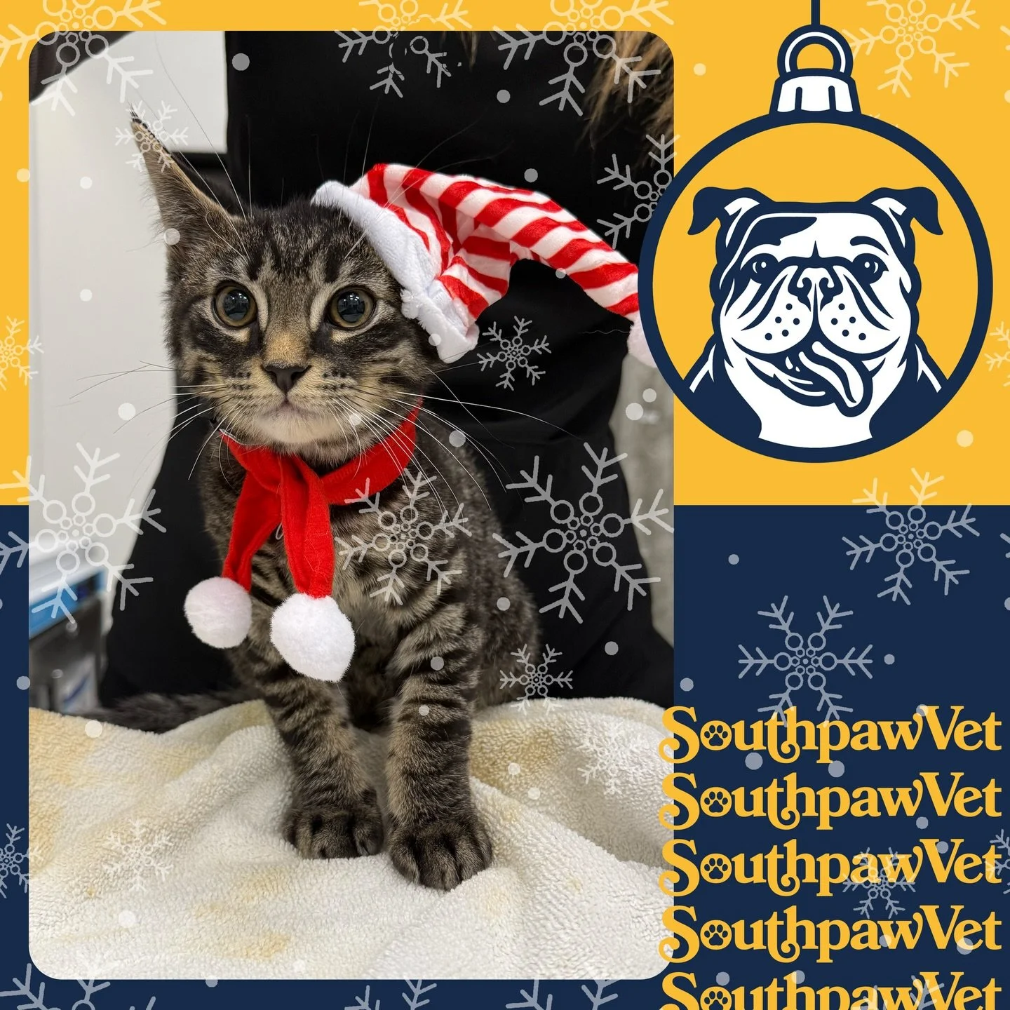 It&rsquo;s been a very festive holiday season so far! Everyone has been on Santa&rsquo;s good list!