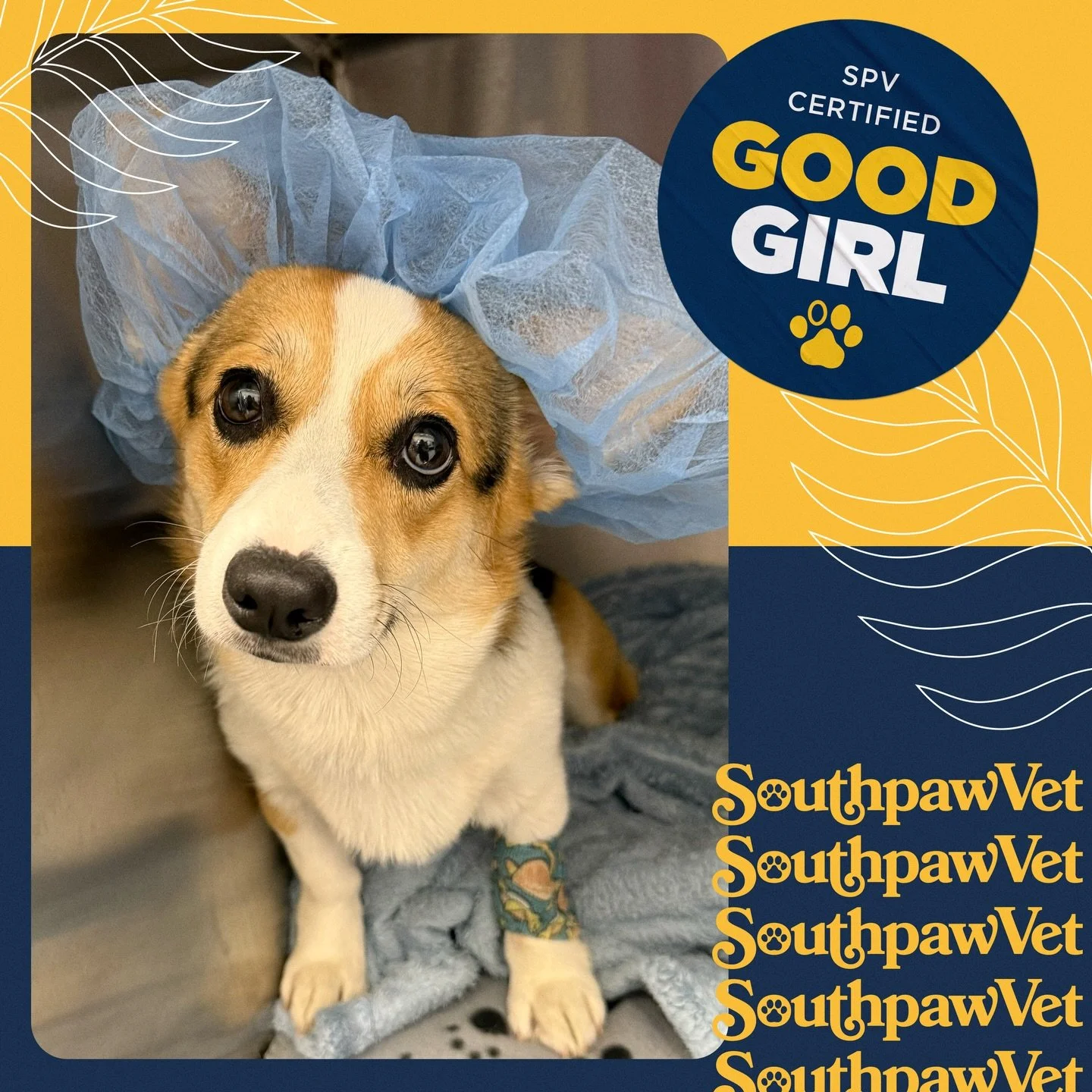 Luna is all scrubbed in and a perfect girl!