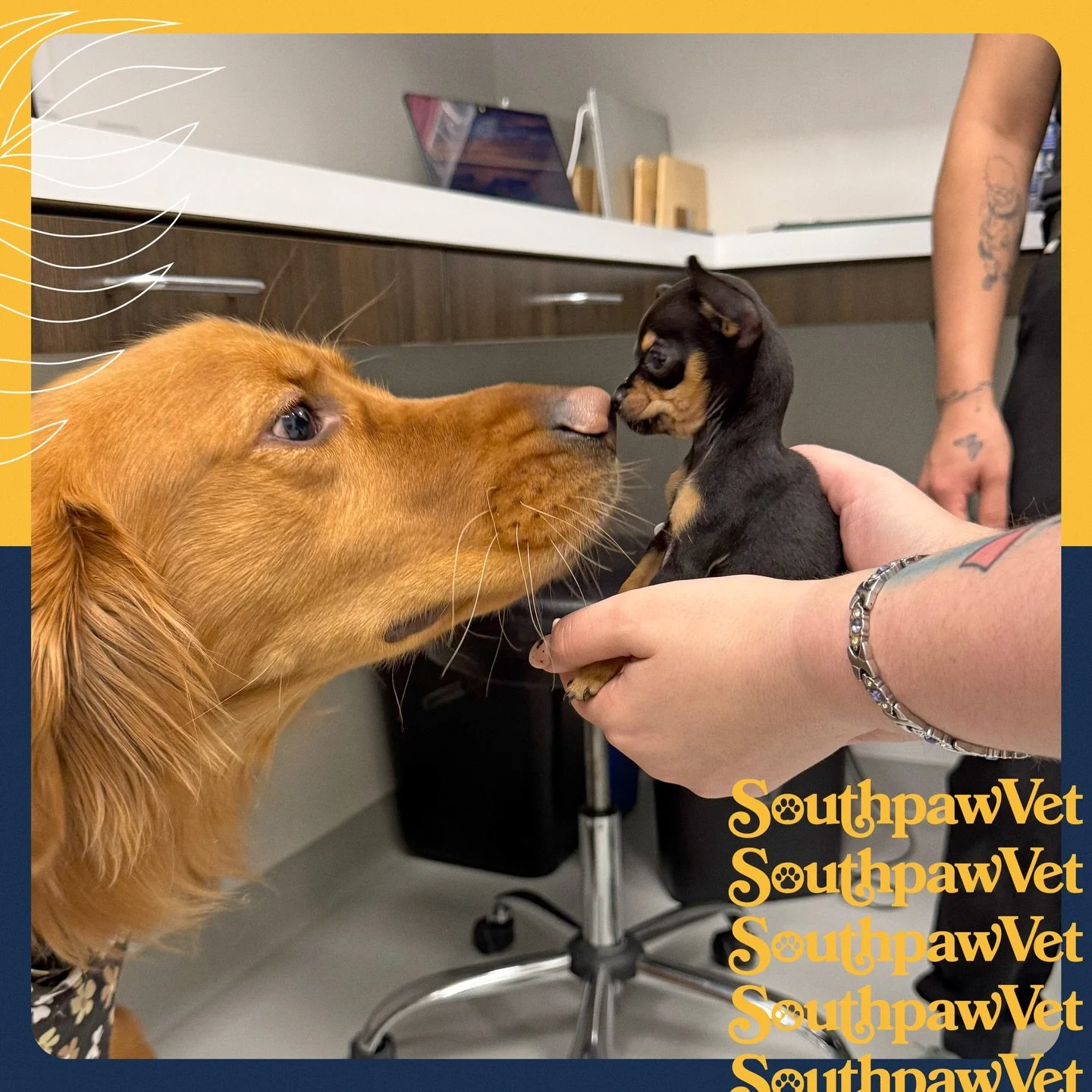 All Creatures Great and Small