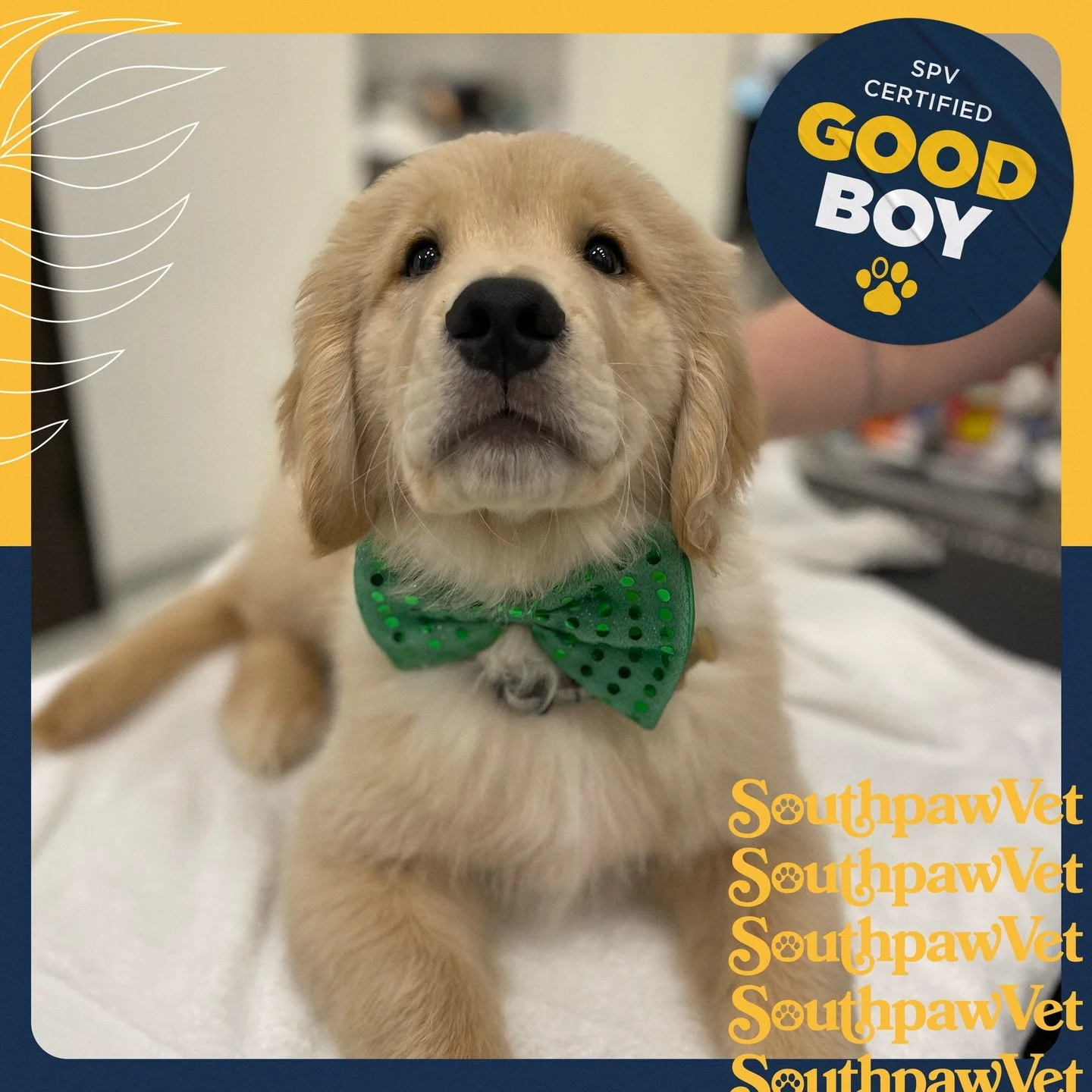 Good boy Brody! 😍