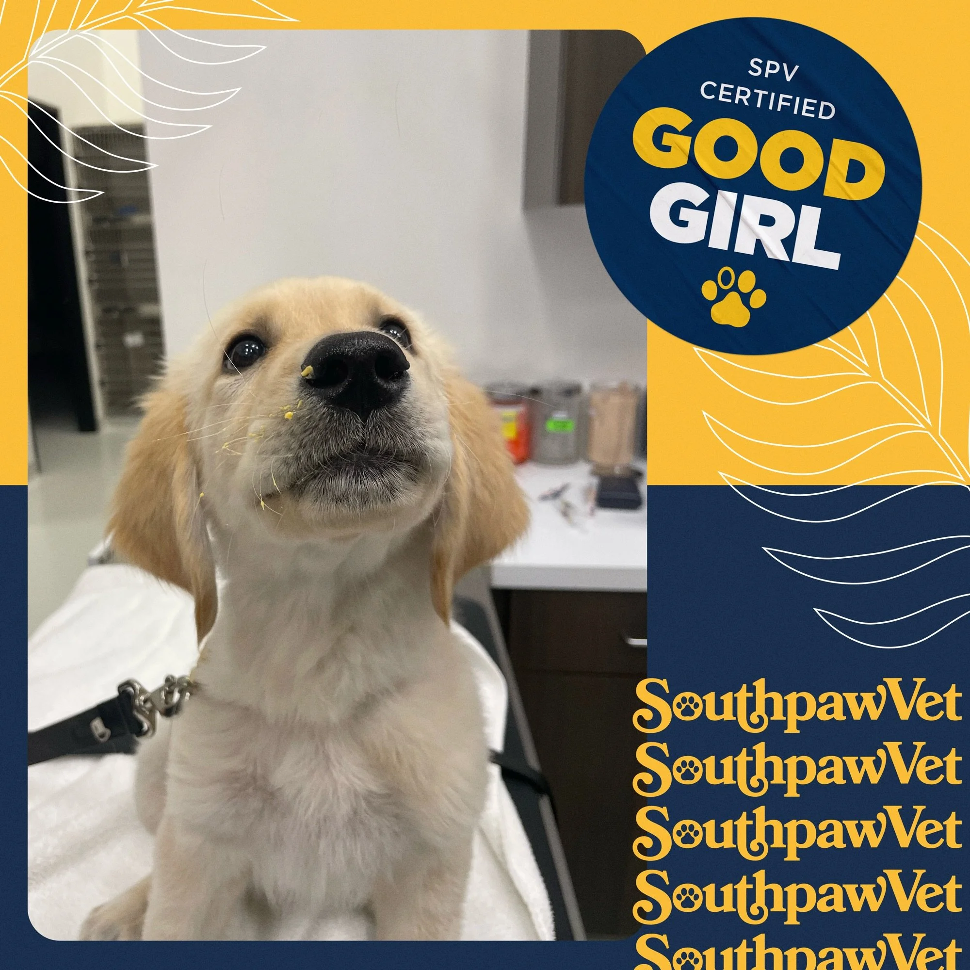 The many faces of good girl Lorelei!
