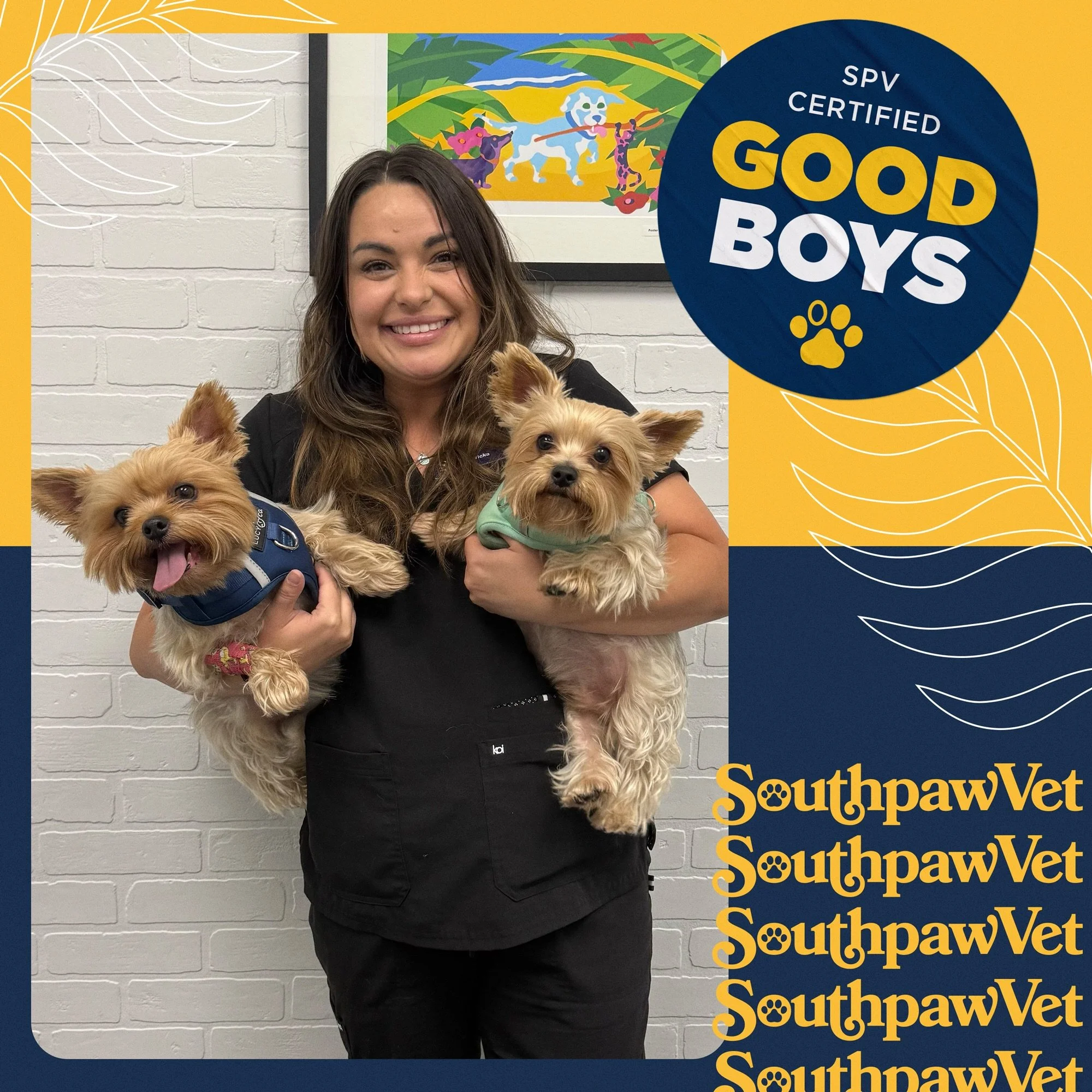 Handsome boys Blue and Beau stopped in today for their first visit at Southpaw! Good boys!