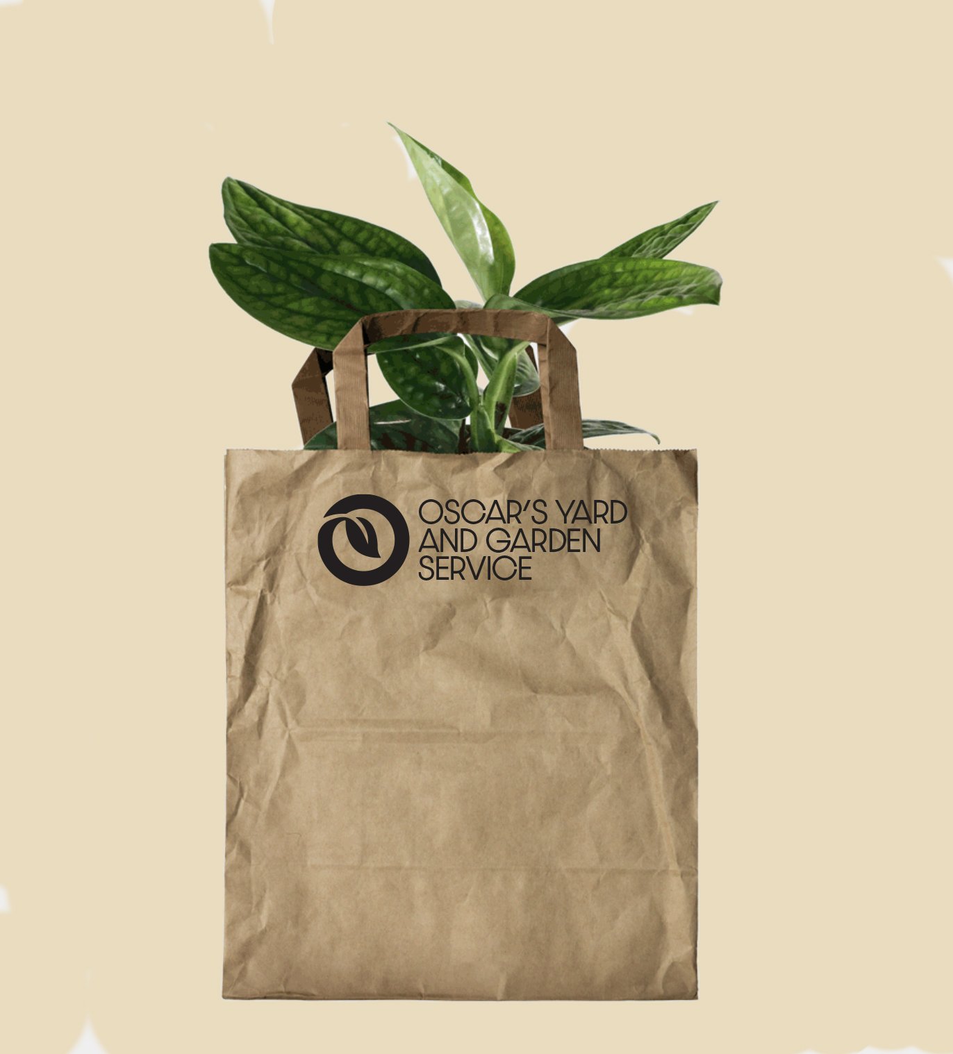 bag copy.jpg