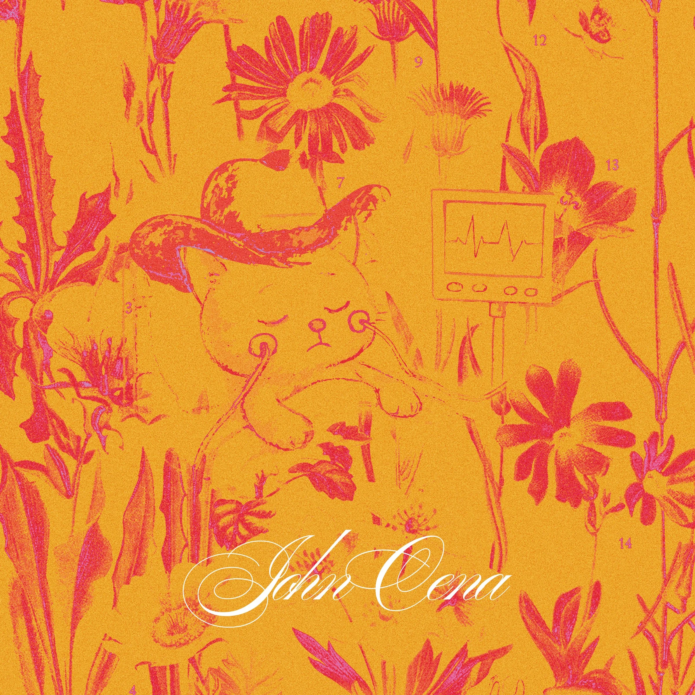 john cena final _1.jpg