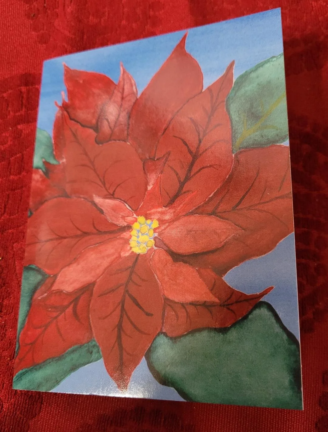 poinsettia cards gloss and matte.jpg