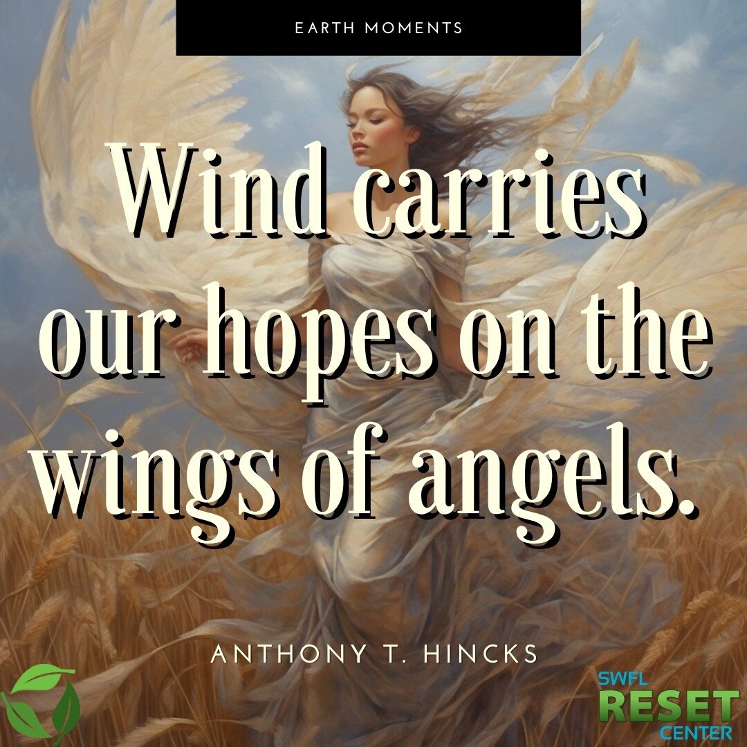 🍃 Ideas for reflection, engagement, &amp; action (just suggestions to stimulate your own ideas) 🍃
🌺
Reflect - On the next windy day, stand out in the wind, close your eyes, and hear the voices of hope.
🌺
Post your thoughts and/or the results of y