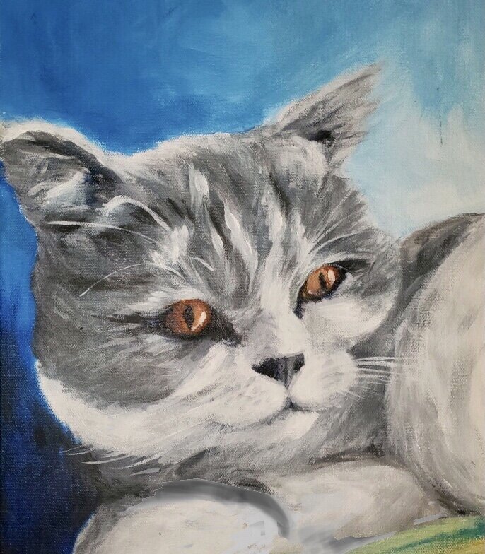Hendrix, 12x16”