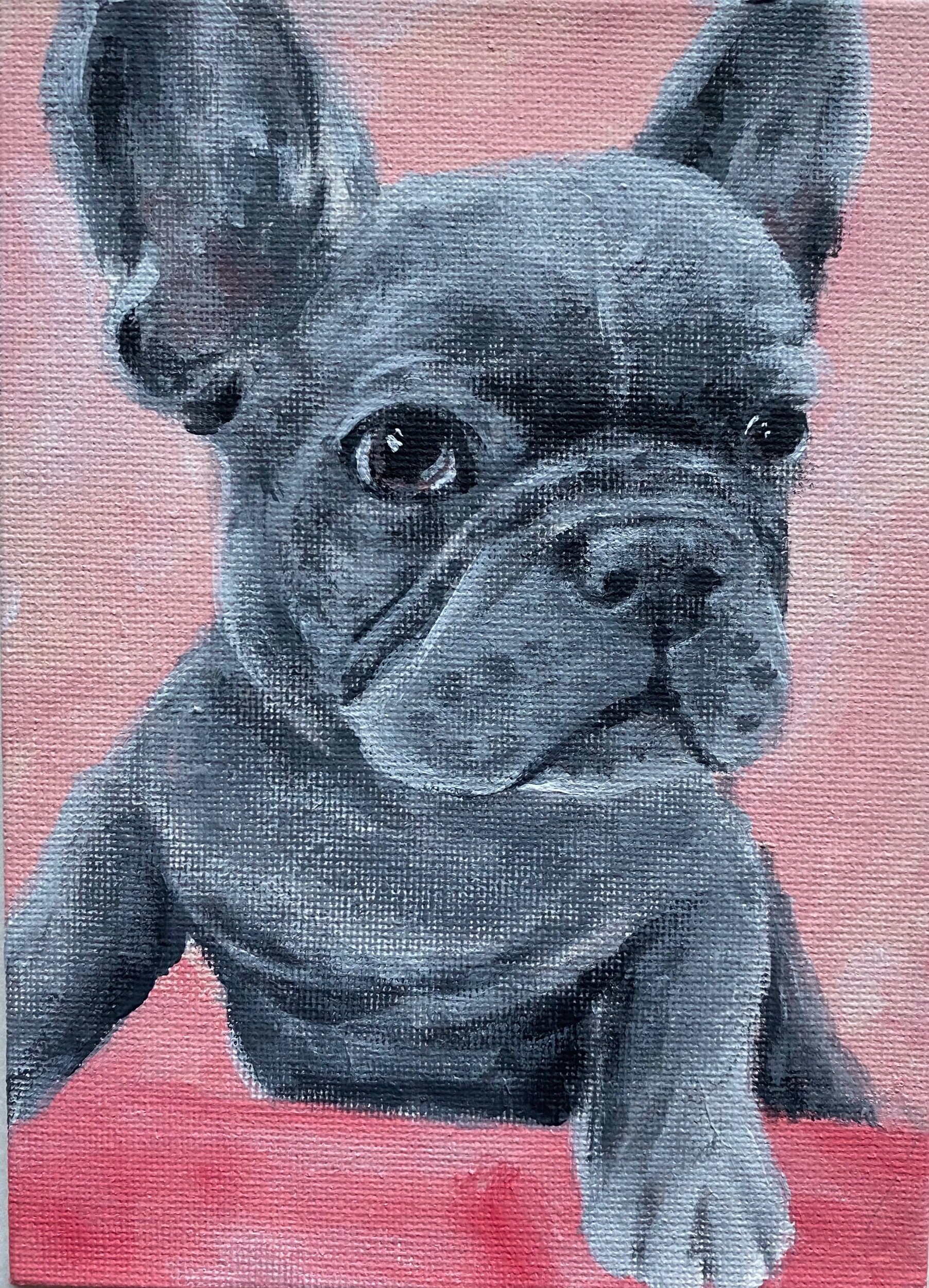 Gus, 5x7”