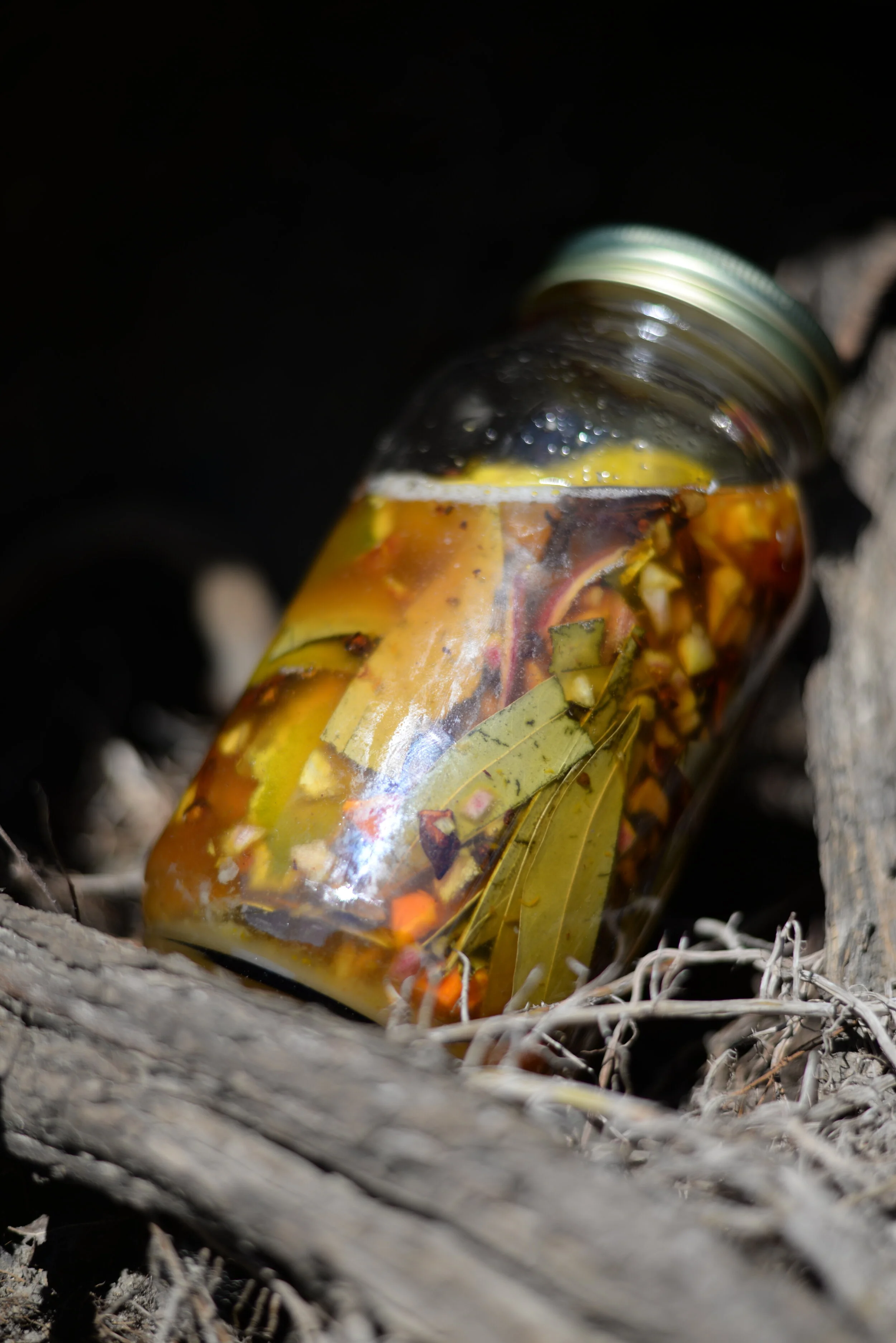 health tonic front photo.JPG