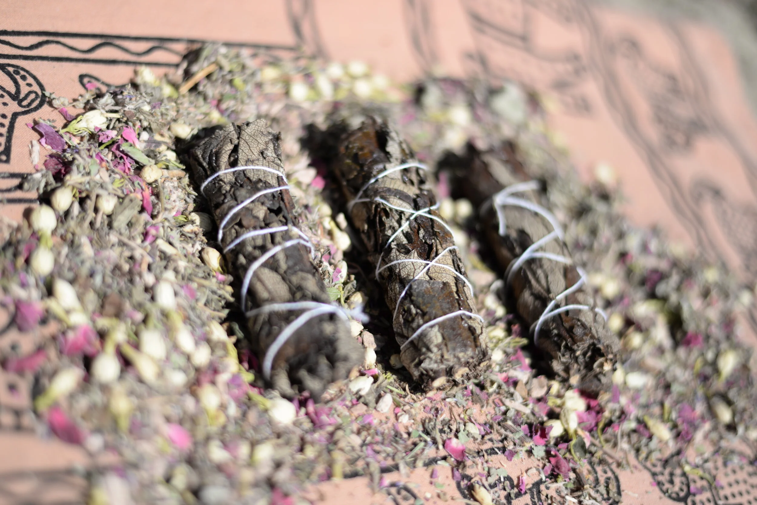 yerba front photo.JPG