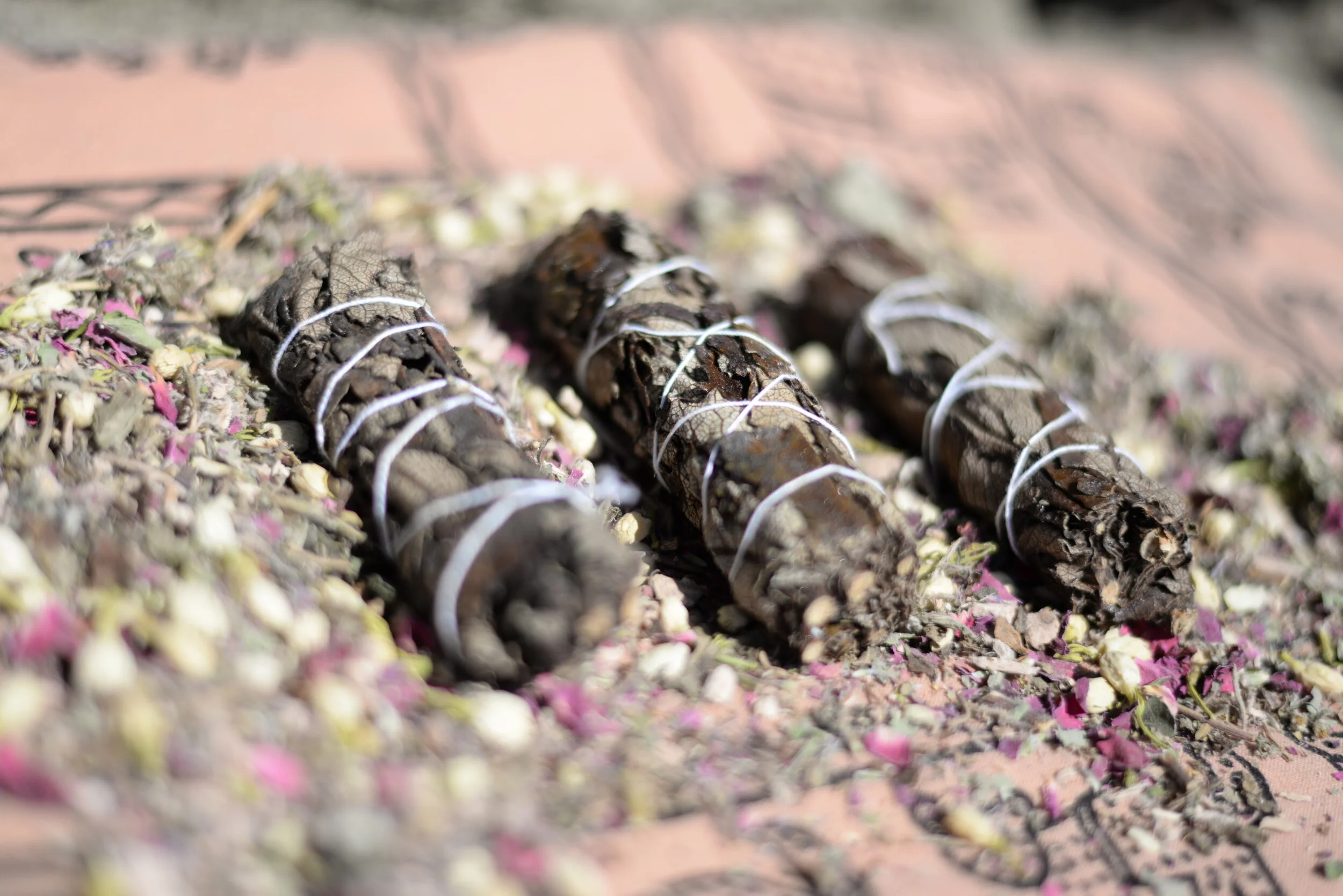 yerba back photo.JPG