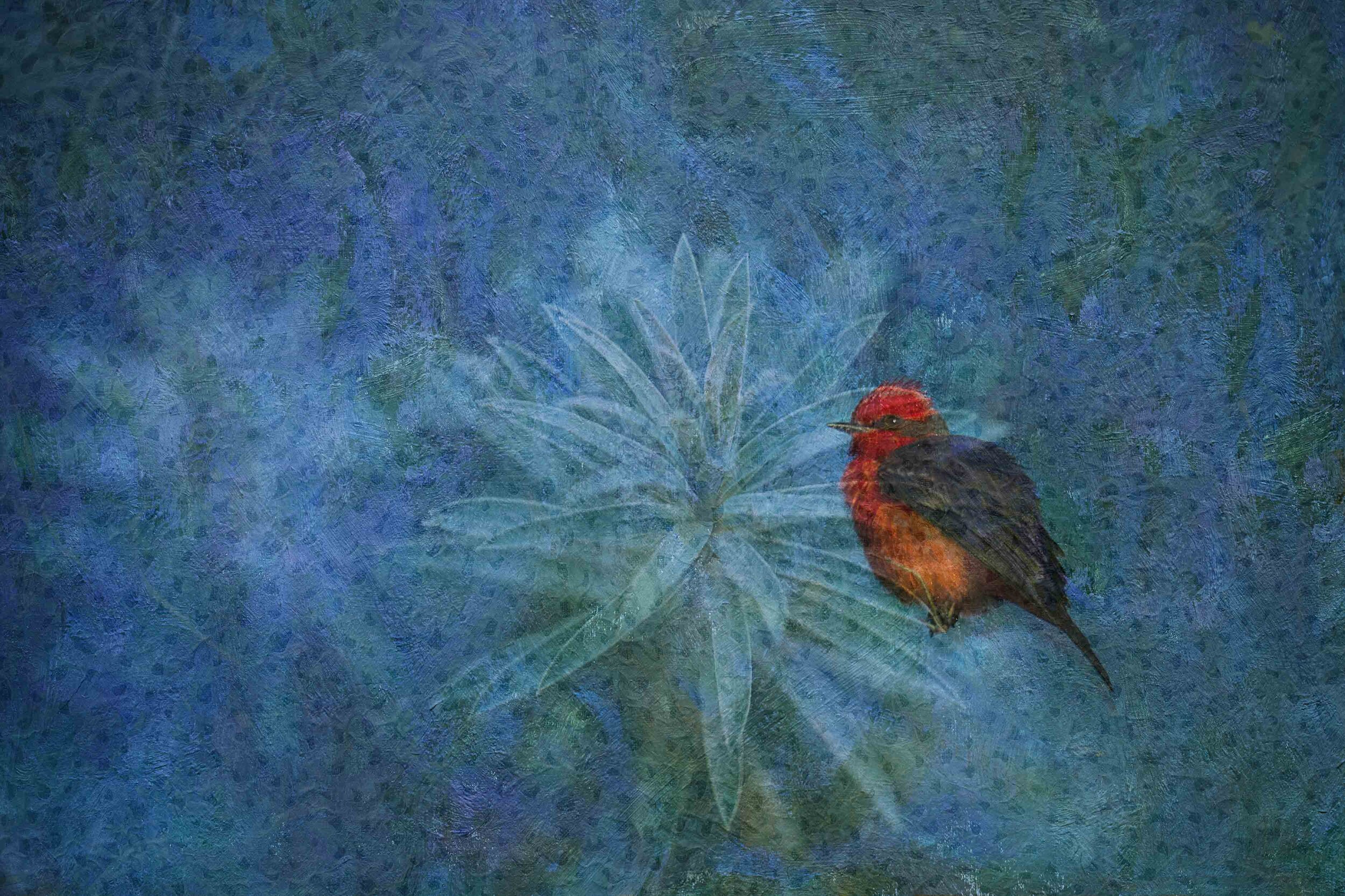 Vermillion Stillness ref#4Y5A8157_Vermillion_Flycatcher.jpg