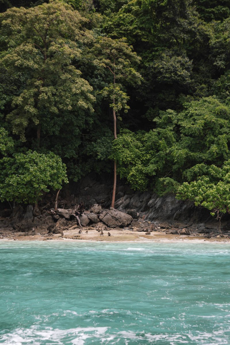 Tropical beach with a rocky shoreline, dense green forest, and calm turquoise water. Phiphi Islands, Thailand. Travel photography by sergiogutierrezphoto