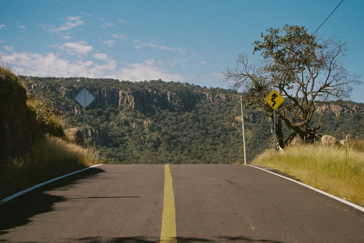 A two-lane road on a mountain with a winding road sign and a leafless tree on the right side. Travel film Photography by Sergio Gutiérrez sergiogutierrezphoto.