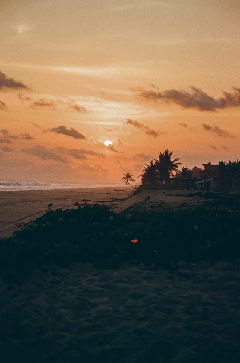 Sunset over a beach with palm trees, cloudy sky, and silhouettes of houses or huts. Film Photography by Sergio Gutiérrez sergiogutierrezphoto.