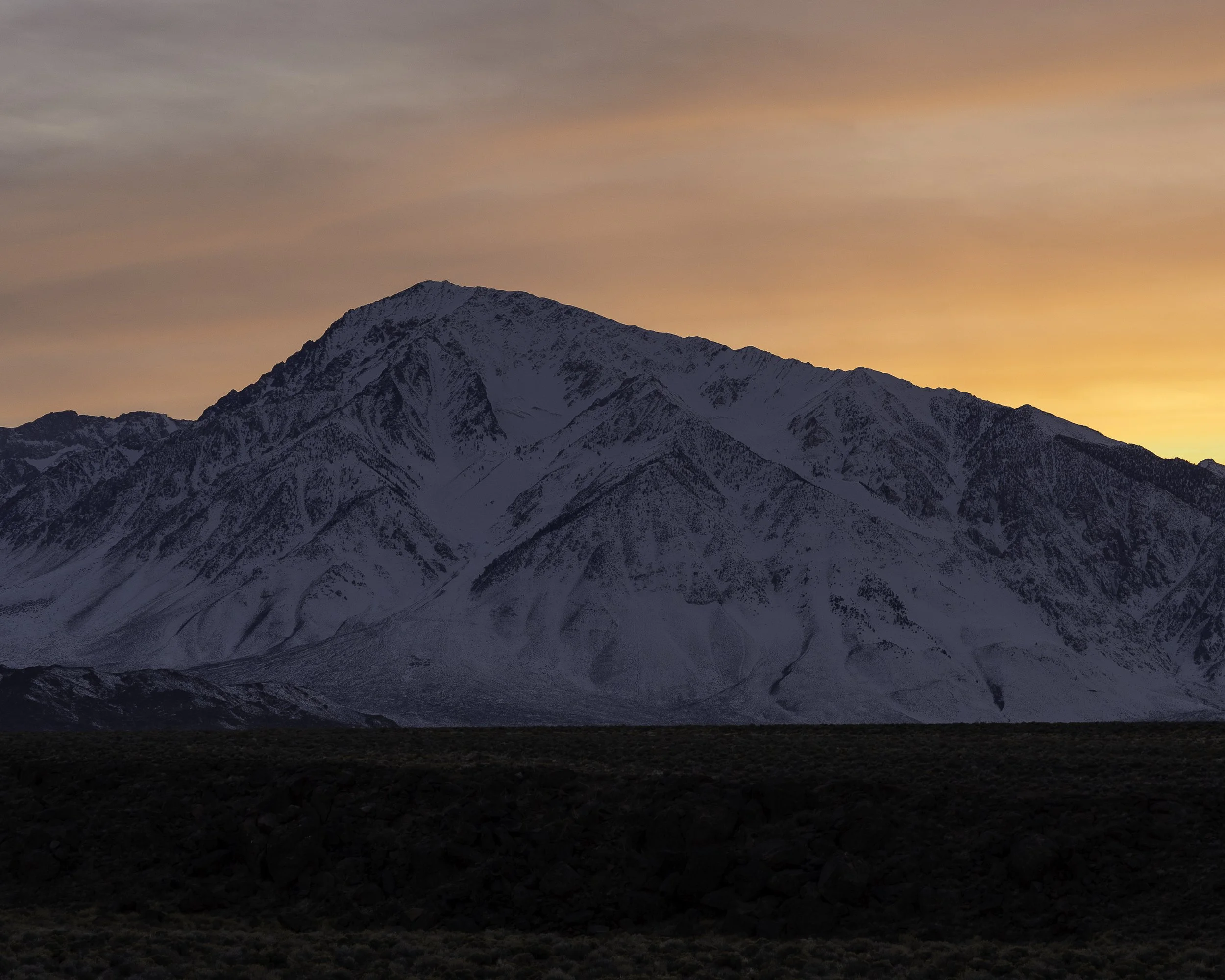 A7304241-Enhanced-NR.jpg